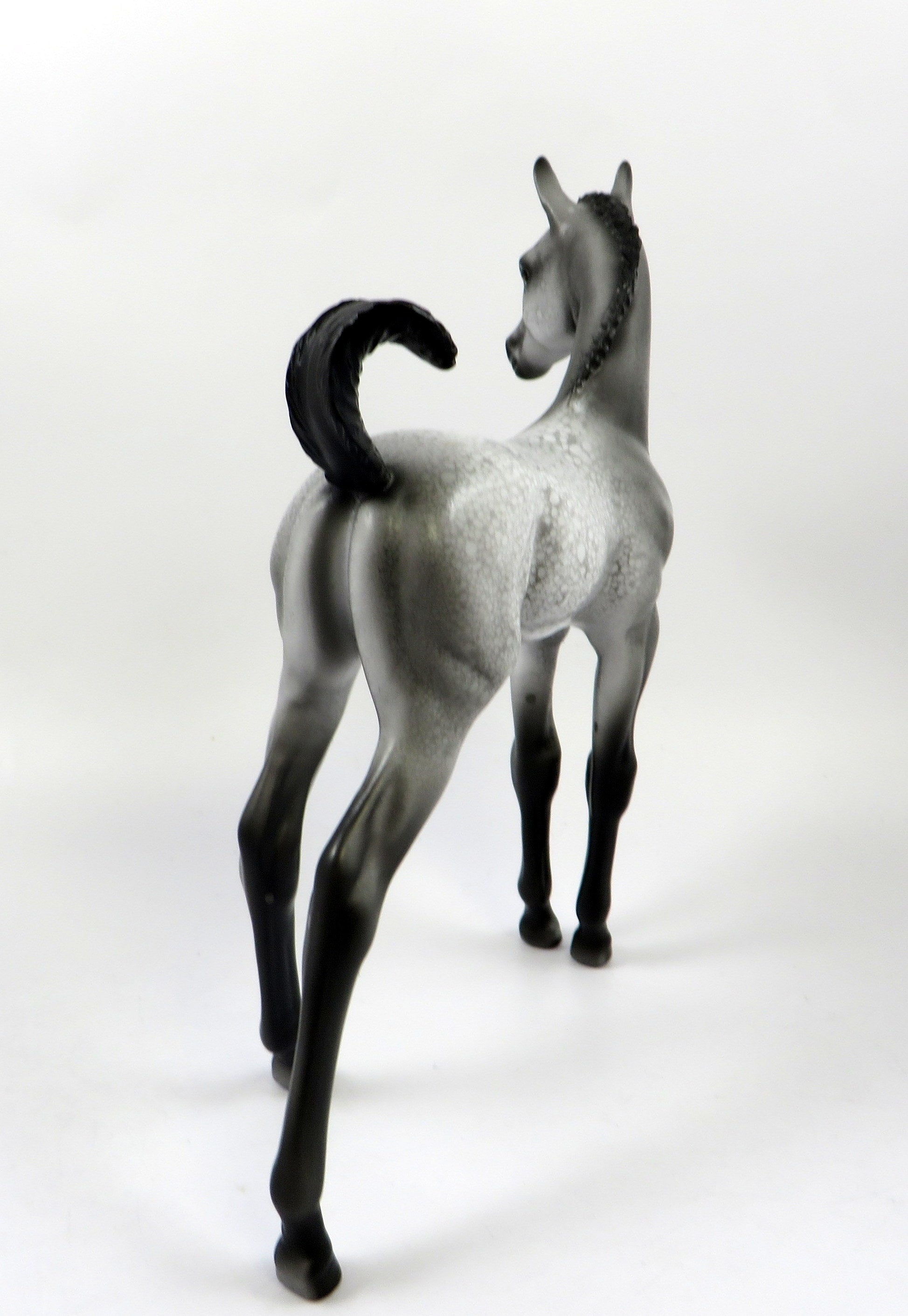 CANNONBALL-OOAK APPALOOSA FOAL MODEL HORSE BY DAWN QUICK 8/5/19