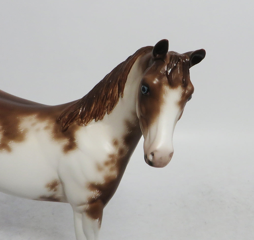 BETTY-OOAK ETHCED CHESTNUT SABINO WEANLING MODEL HORSE BY SHERYL LEISURE WHS 2018