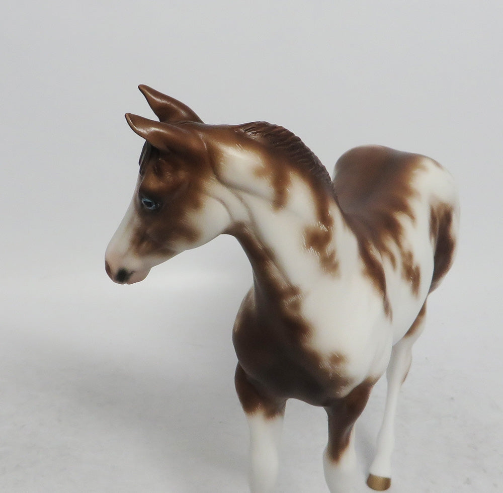 BETTY-OOAK ETHCED CHESTNUT SABINO WEANLING MODEL HORSE BY SHERYL LEISURE WHS 2018