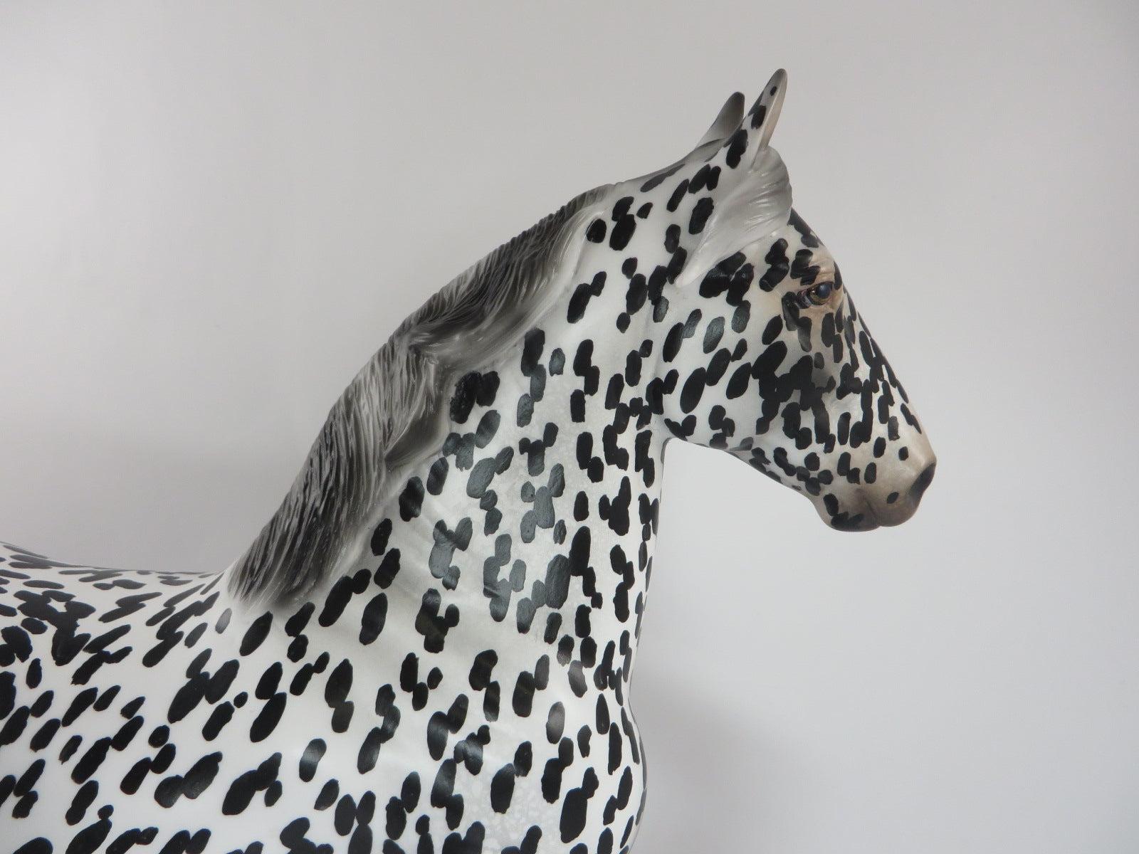 FOO FIGHTER - OOAK LEOPARD APPALOOSA TROTTING DRAFTER BY AUDREY DIXON PJ20