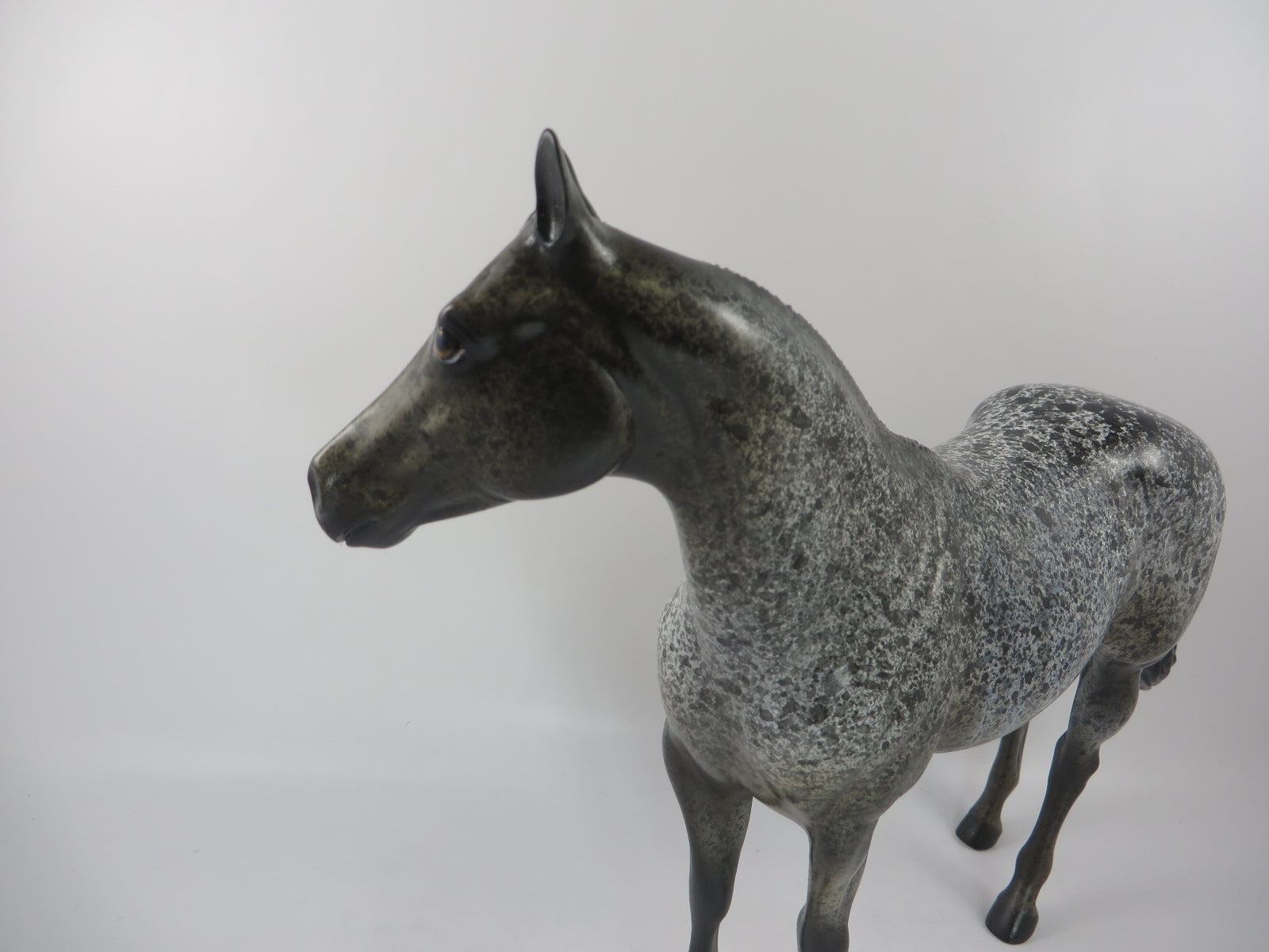 FLASH IN THE PANTS - OOAK APPALOOSA ISH MODEL HORSE BY AL KATT PJ20