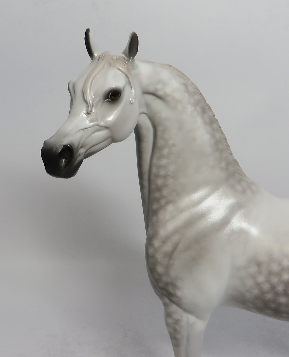 SHIMMER-OOAK STAR DAPPLE ARABIAN BY SHERYL LEISURE SHCF 2018