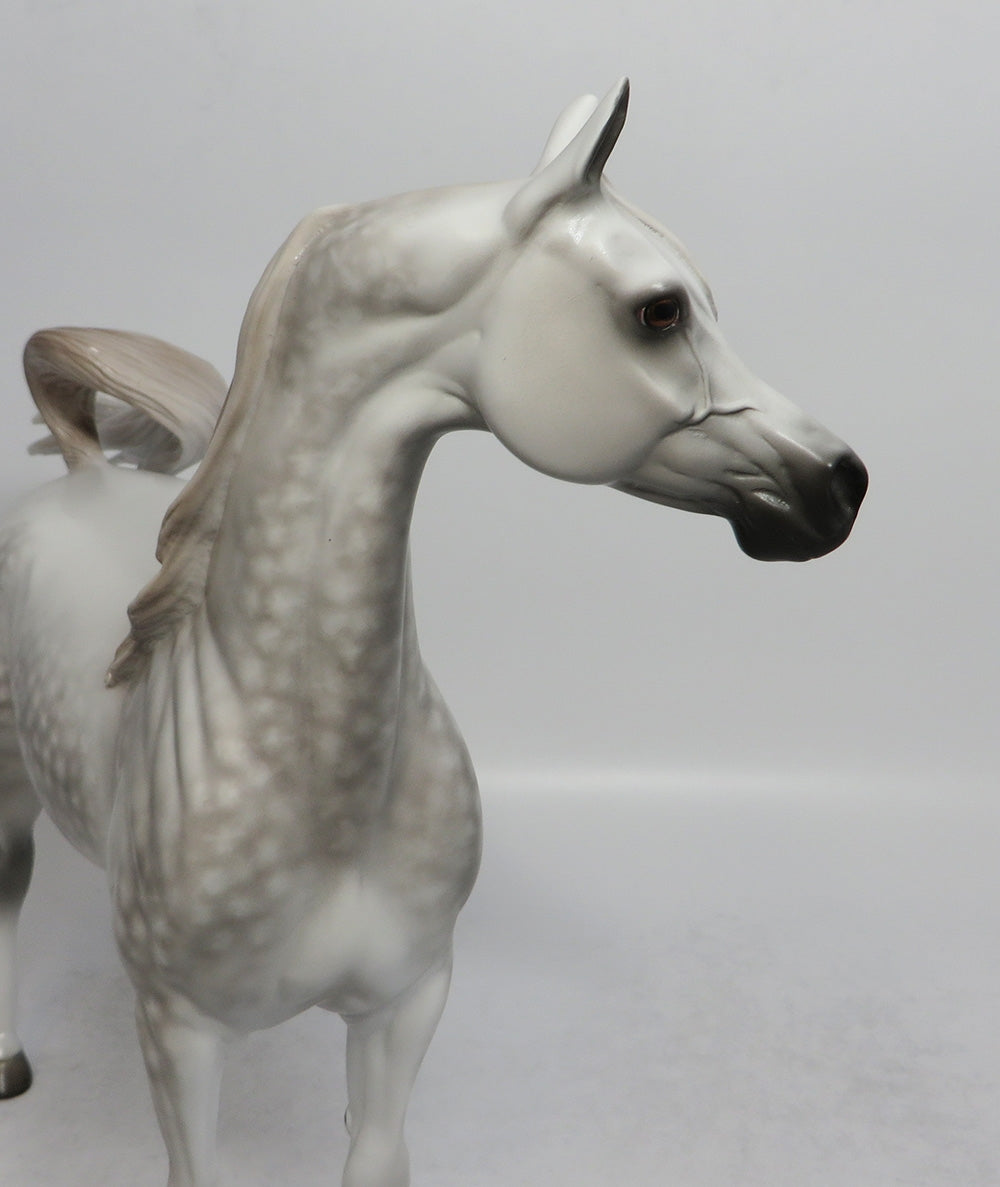 SHIMMER-OOAK STAR DAPPLE ARABIAN BY SHERYL LEISURE SHCF 2018