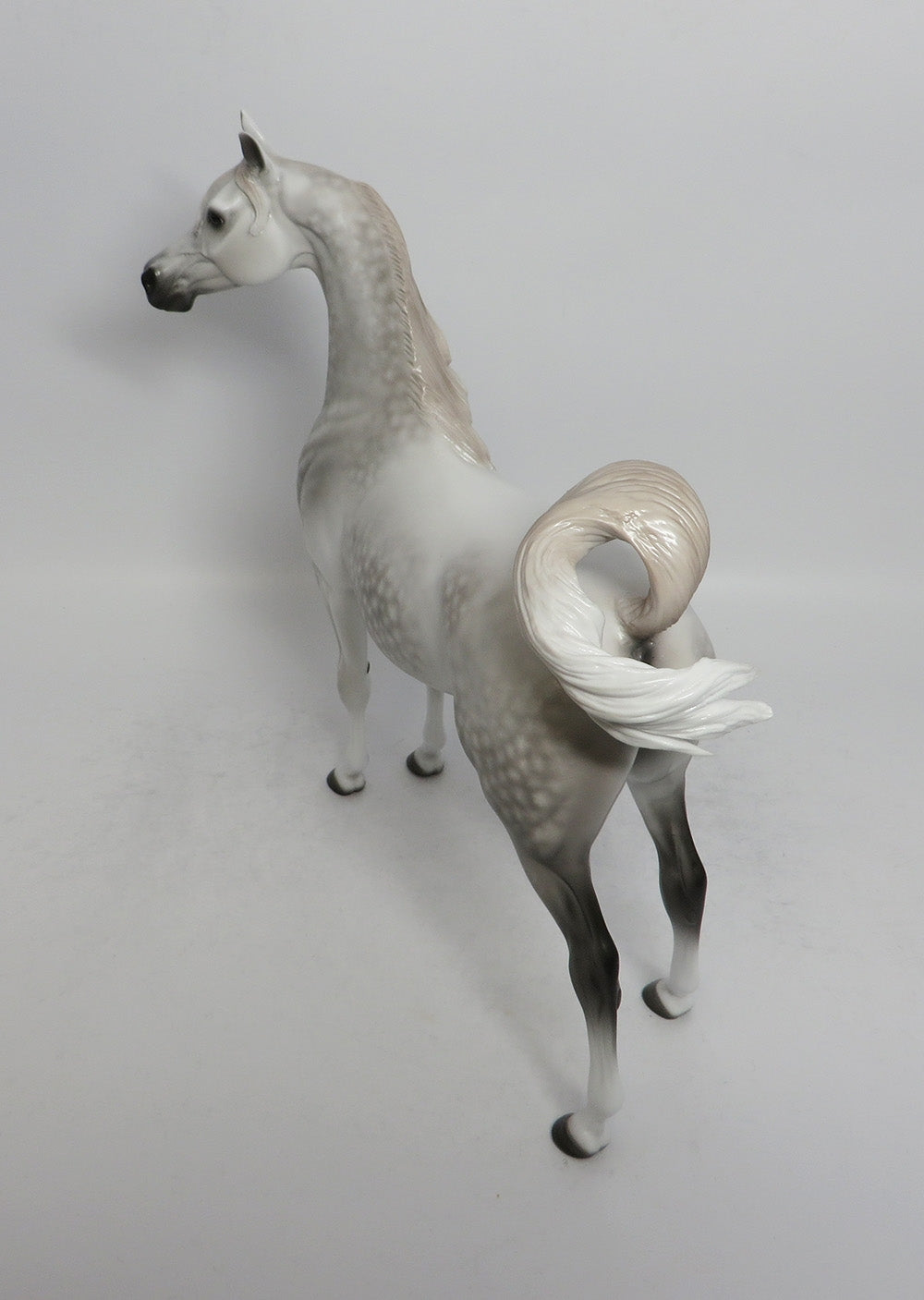 SHIMMER-OOAK STAR DAPPLE ARABIAN BY SHERYL LEISURE SHCF 2018