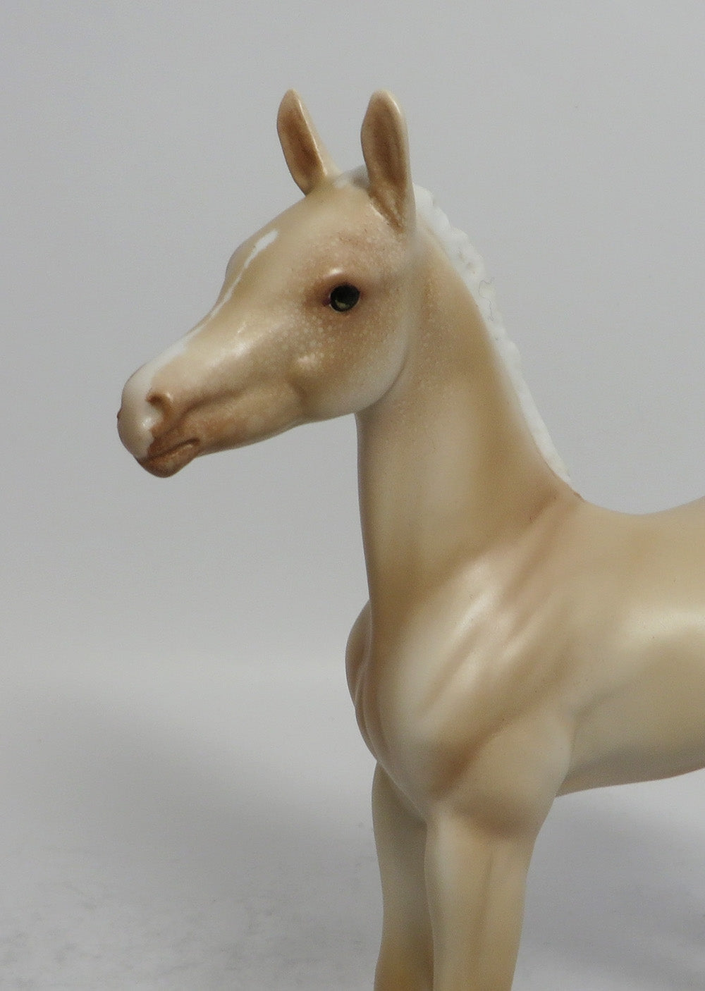ATLANTA - OOAK CREAM FOAL MODEL HORSE SHCF2018