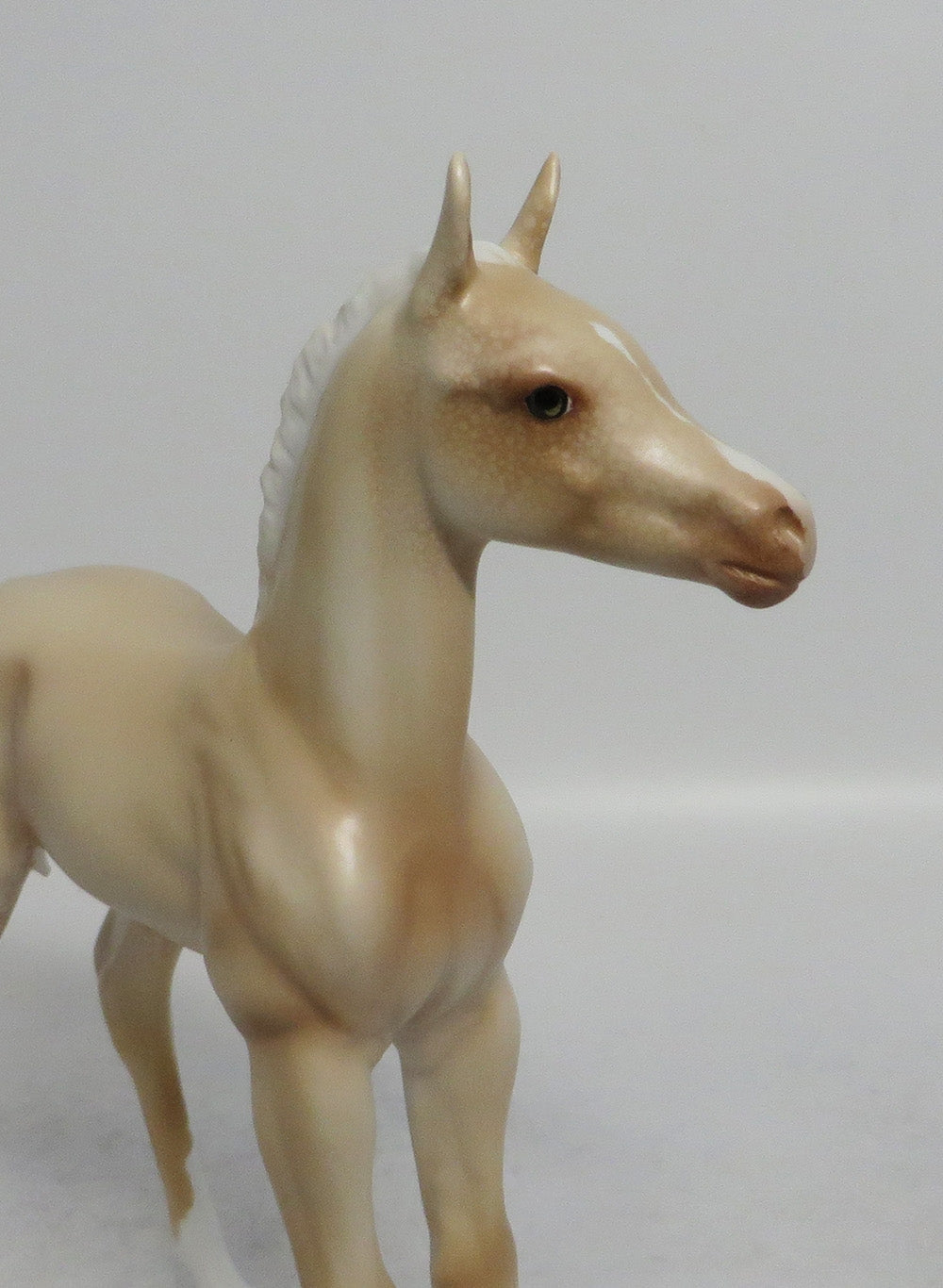 ATLANTA - OOAK CREAM FOAL MODEL HORSE SHCF2018