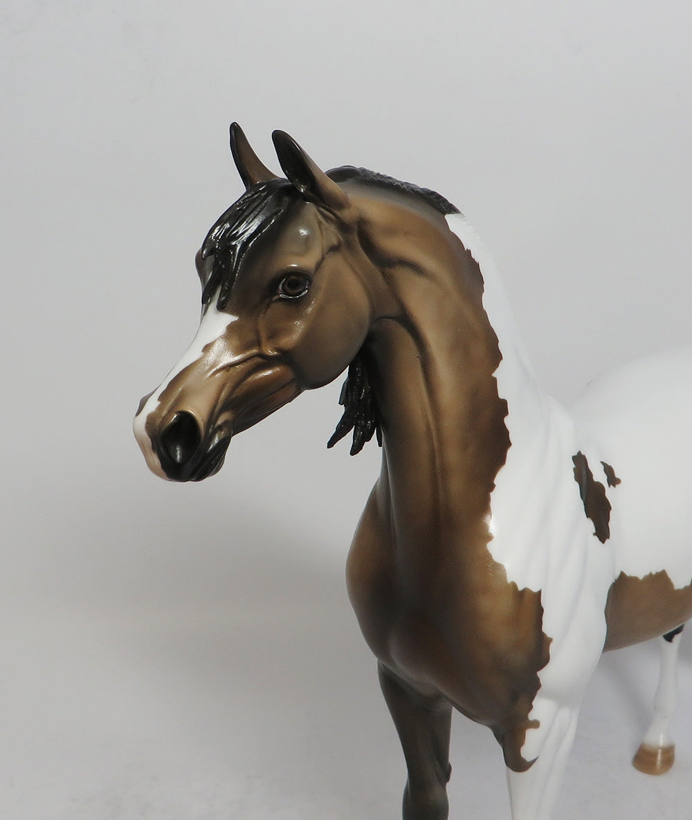 CALUMET-OOAK BUCKSKIN PINTO ARABIAN MODEL HORSE 5/18/18
