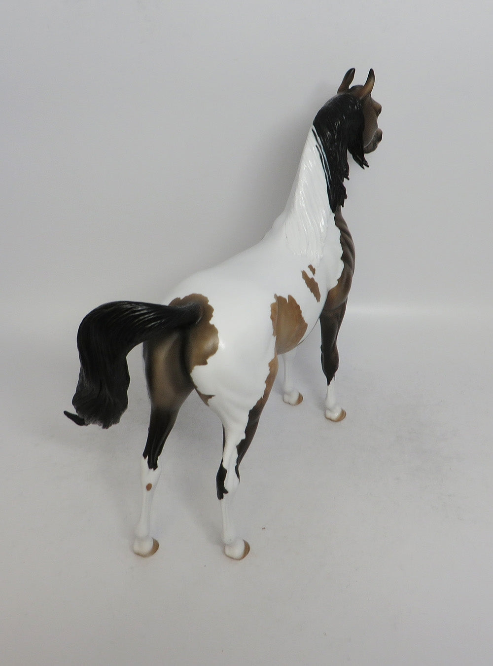 CALUMET-OOAK BUCKSKIN PINTO ARABIAN MODEL HORSE 5/18/18