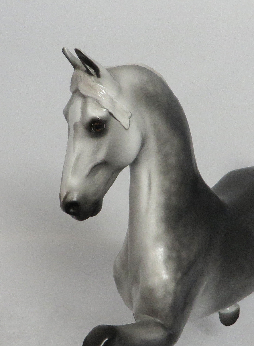 BLITZORTE-OOAK STAR DAPPLE GREY SADDLEBRED MODEL HORSE BY SHERYL LEISURE 5/18/18