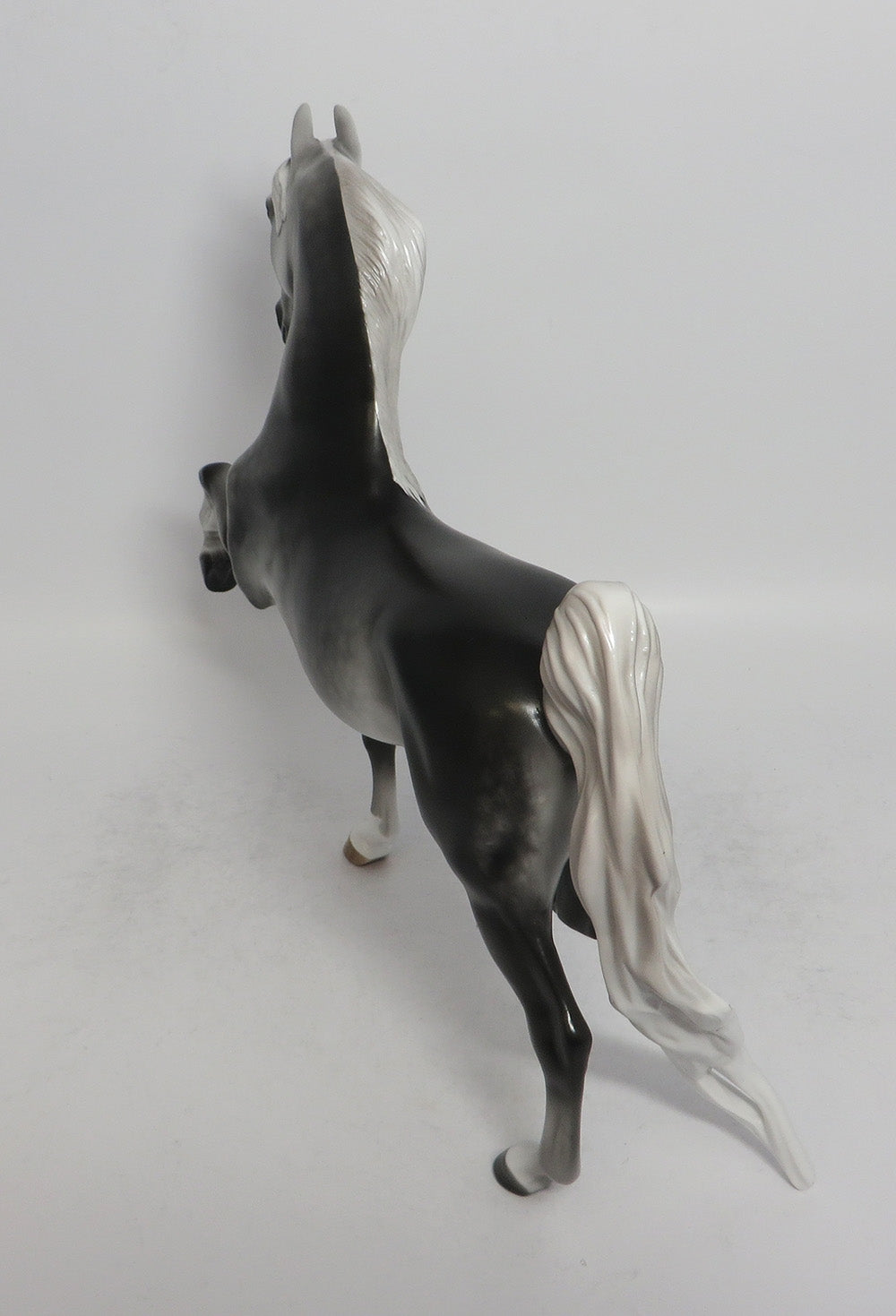 BLITZORTE-OOAK STAR DAPPLE GREY SADDLEBRED MODEL HORSE BY SHERYL LEISURE 5/18/18