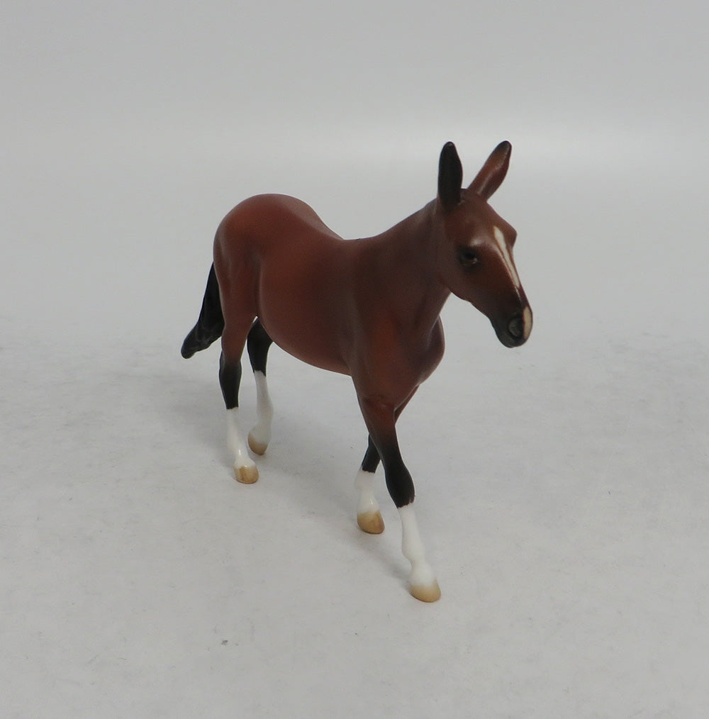DOOKEY - OOAK BAY MULE CHIP EQ2018