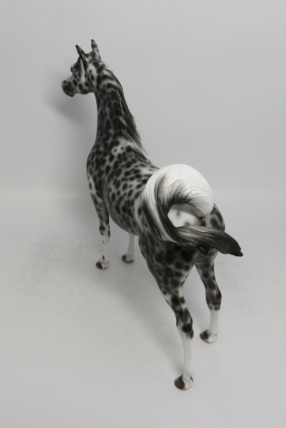 BLACK WALNUT-OOAK LEOPARD ARABIAN MODEL HORSE BY SHERYL LEISURE 5/25/18