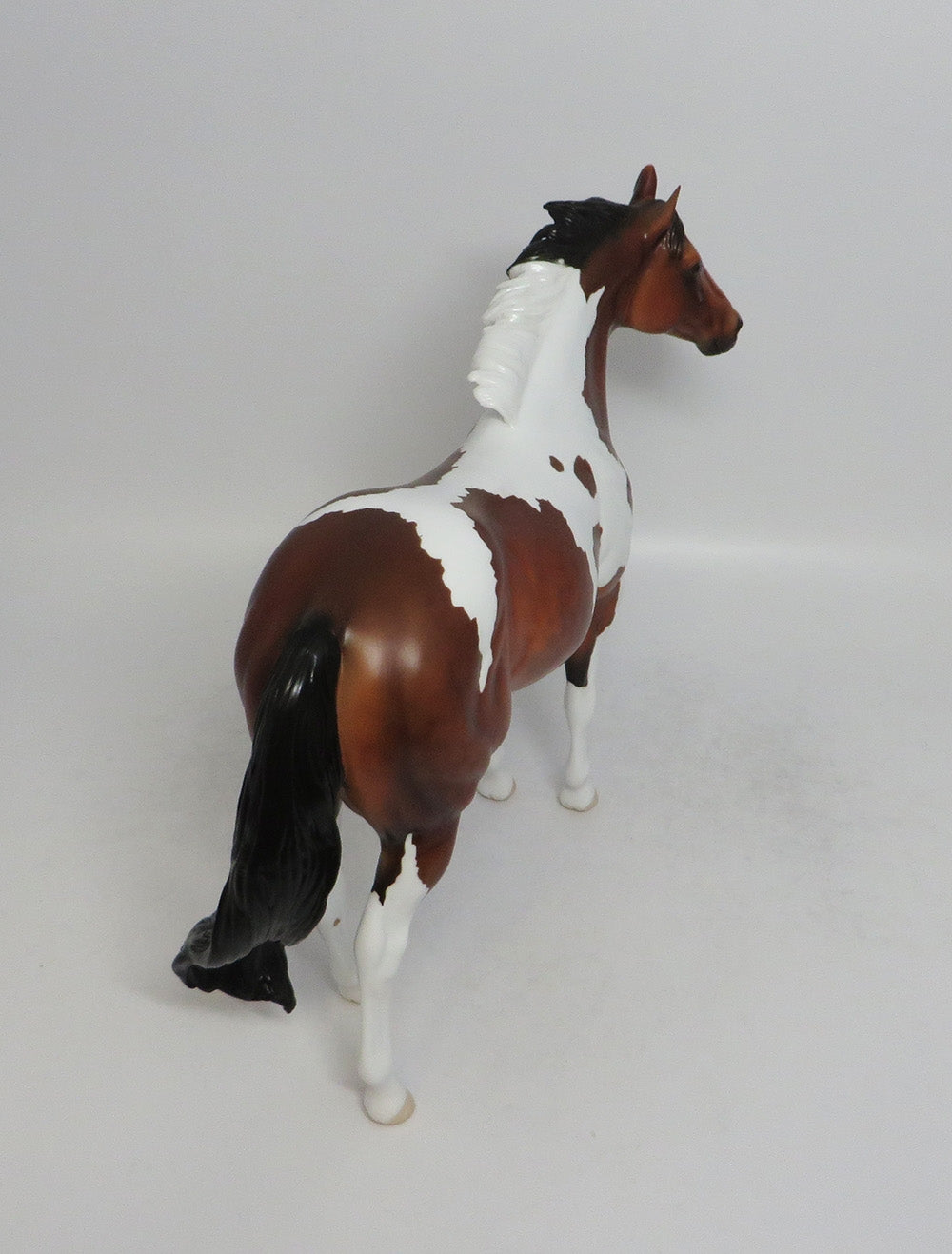 THANOS - LE4 DAPPLE BAY PINTO ISH MODEL HORSE 6/1/18