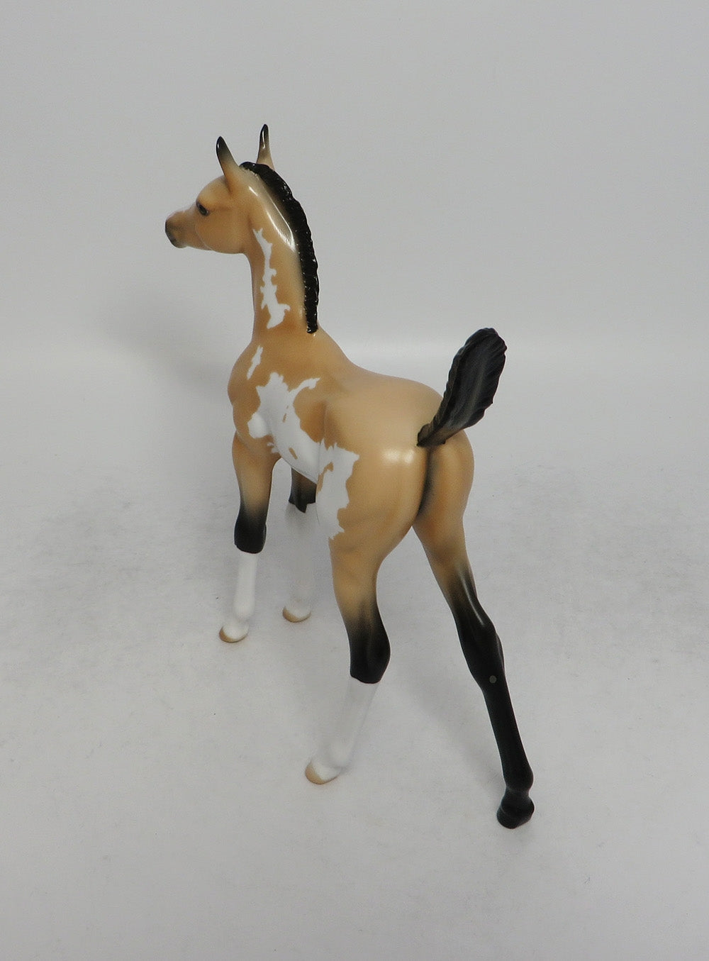 BISCOTTI-LE.7 BUCKSKIN OVERO ARABIAN FOAL MODEL HORSE BY TANSLEY HENLINE 6/8/18