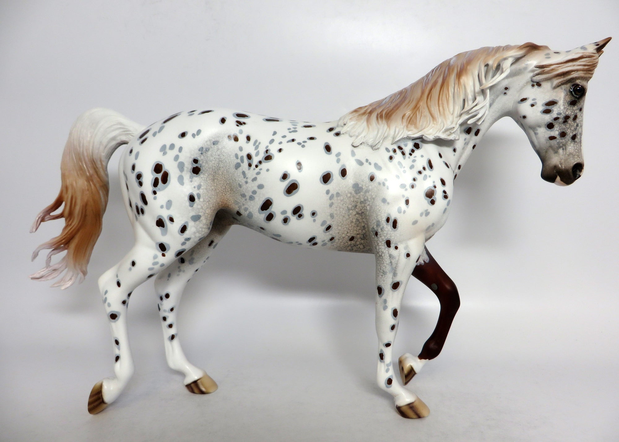 APPALOOSA