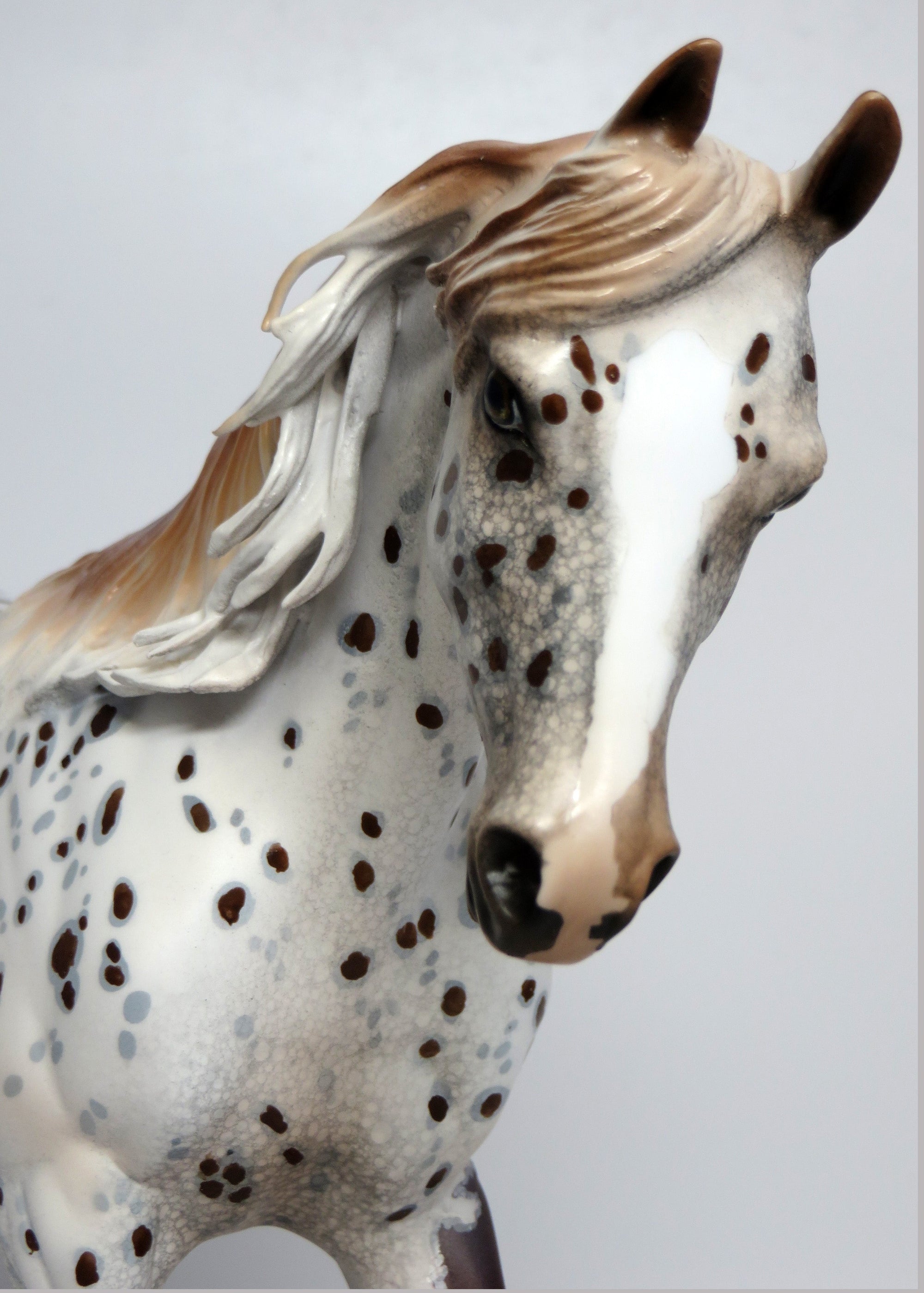 HOT SPOT-OOAK LOUD CHESTNUT APPALOOSA THOROUGHBRED CM MANE AND TAIL BY DAWN EQ 2018