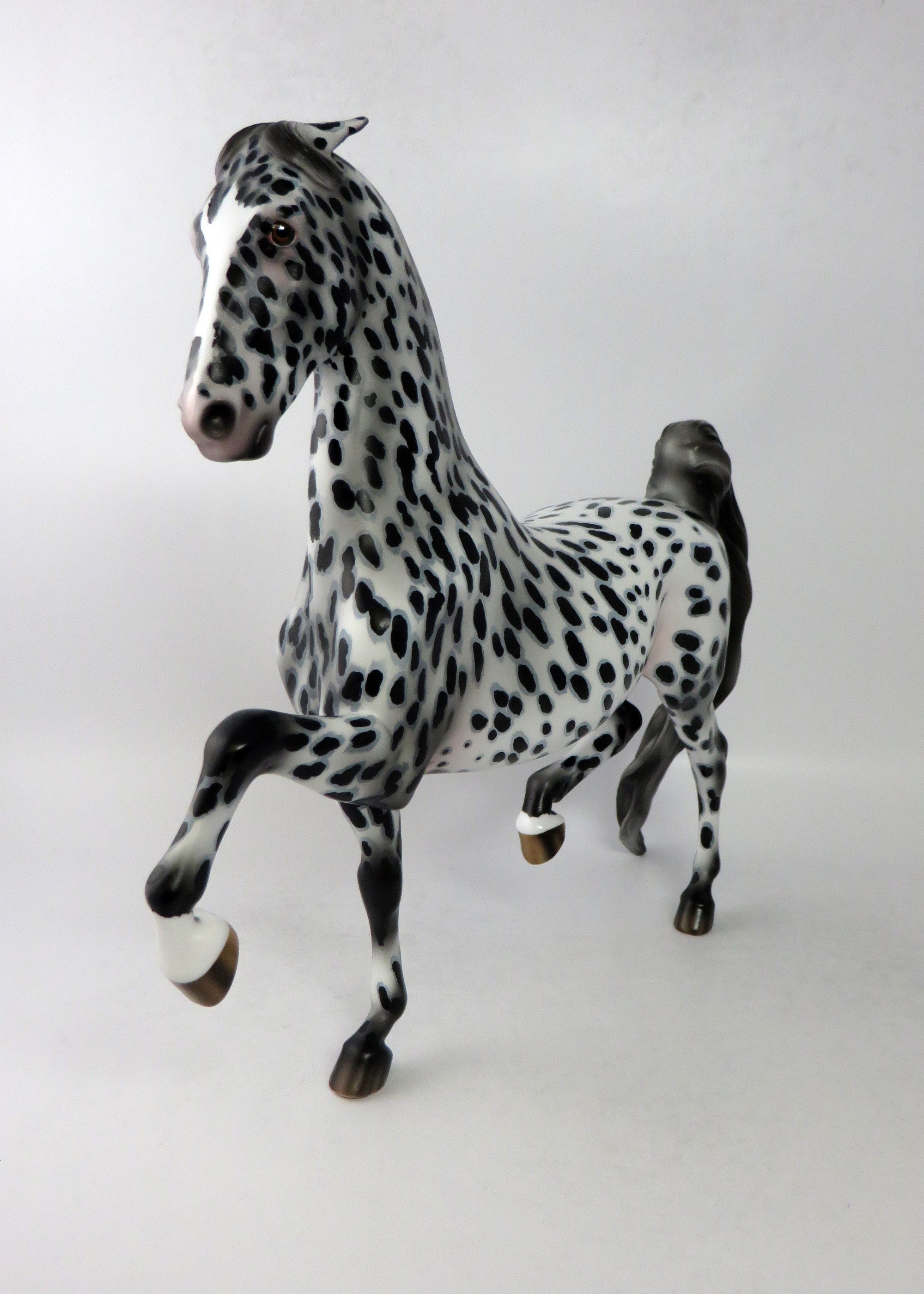 CONFETTI-OOAK LOUD APPALOOSA SADDLEBRED MODEL HORSE EQ 2018
