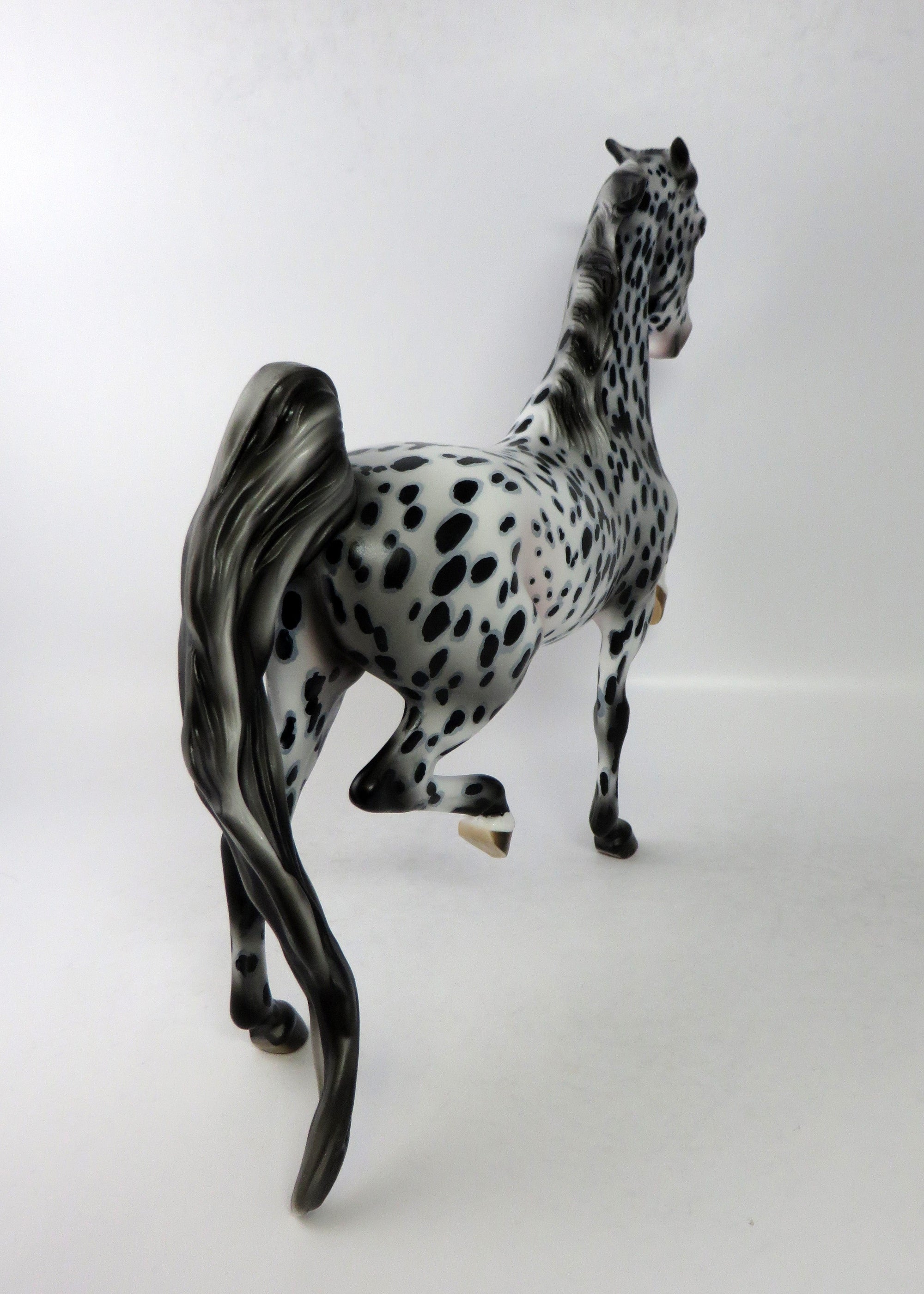 CONFETTI-OOAK LOUD APPALOOSA SADDLEBRED MODEL HORSE EQ 2018