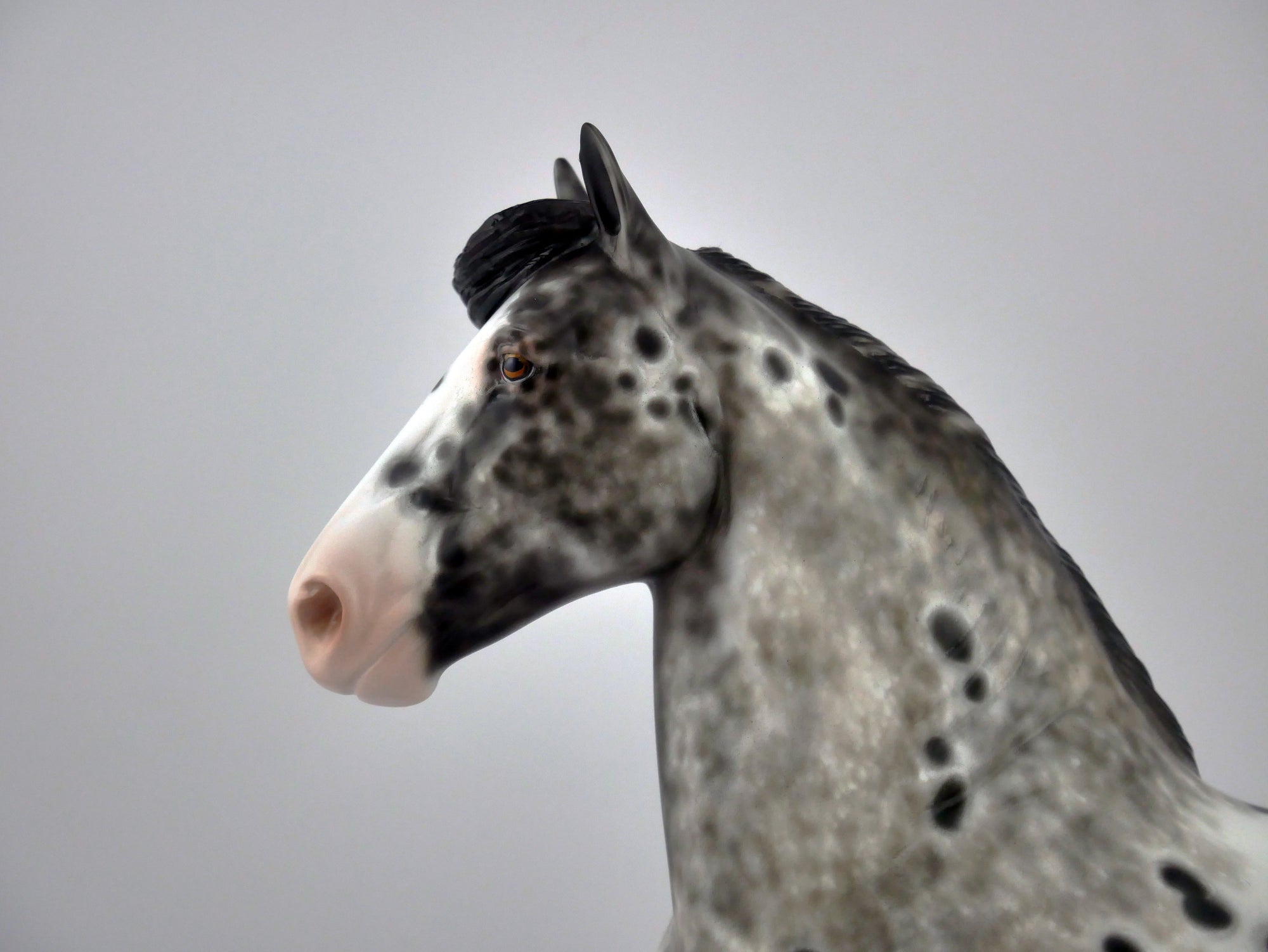 IMPASTO-OOAK LOUD APPALOOSA TROTTING DRAFT BY SHERYL LEISURE