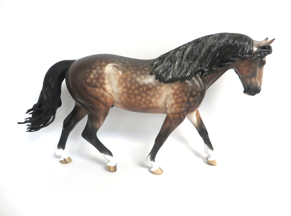 ROB ROY- OOAK DAPPLED GREY IRISH DRAFTER BY SHERYL LEISURE 3-15-19