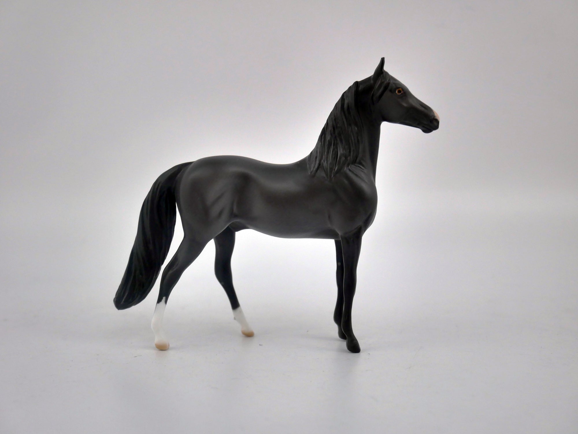 EQUILOCITY 2020 GRAB BAGS