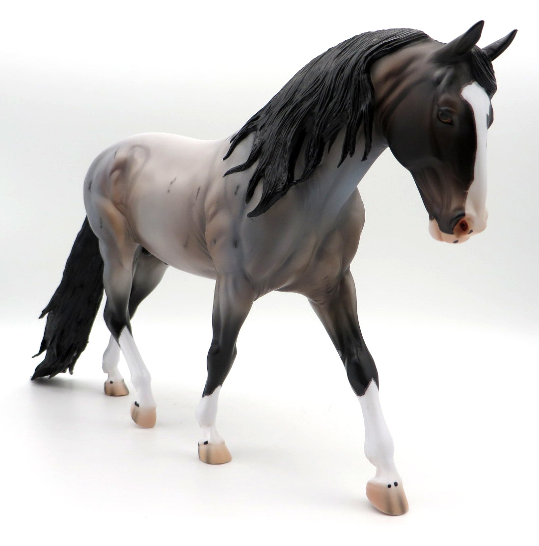 Irvine-OOAK Bay Roan Irish Draft by Caroline Boydston 10/4/21