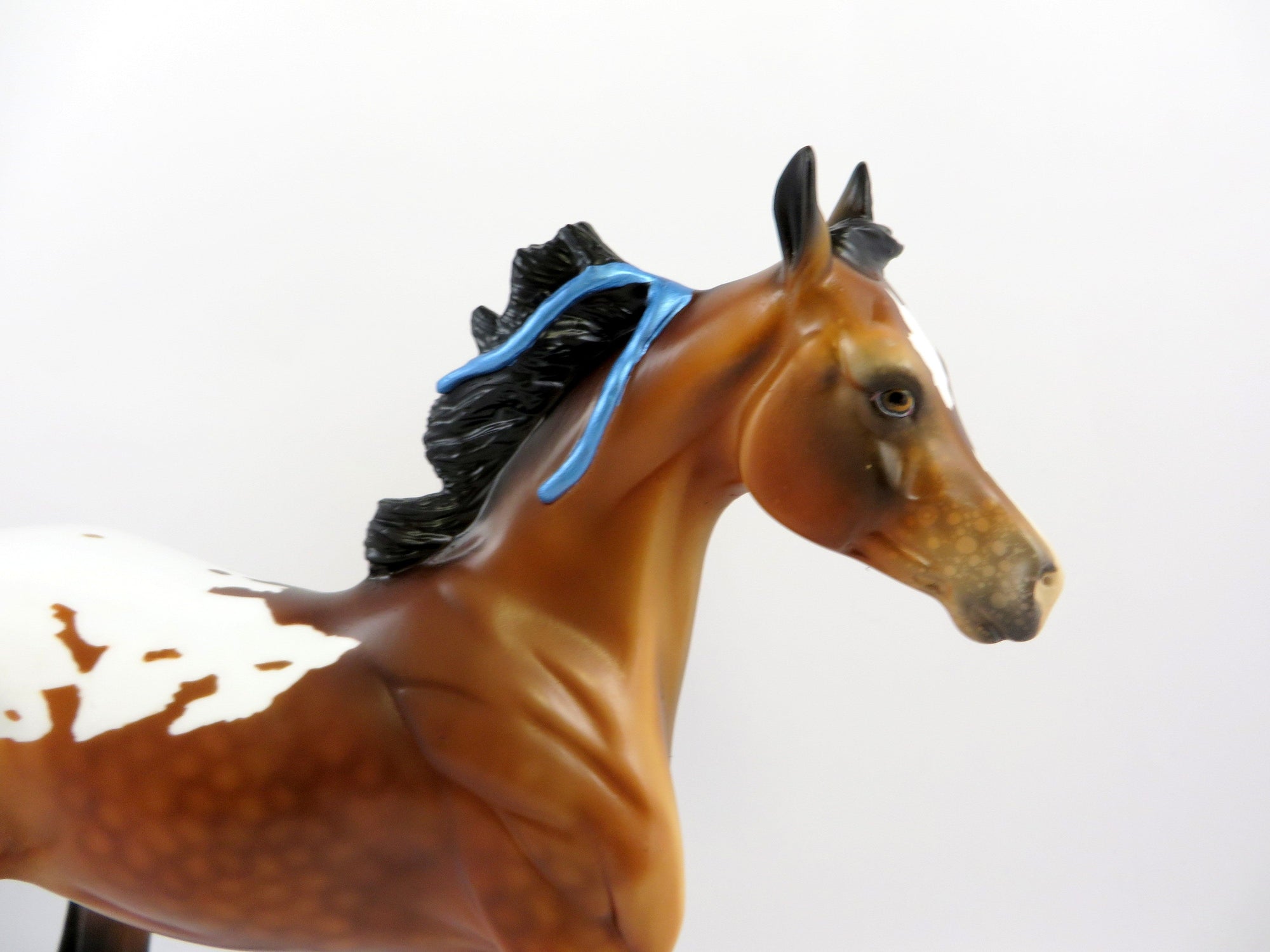 JOSSE-OOAK DAPPLE BAY APPALOOSA YEARLING WITH BLUE RIBBONS EQ 2019