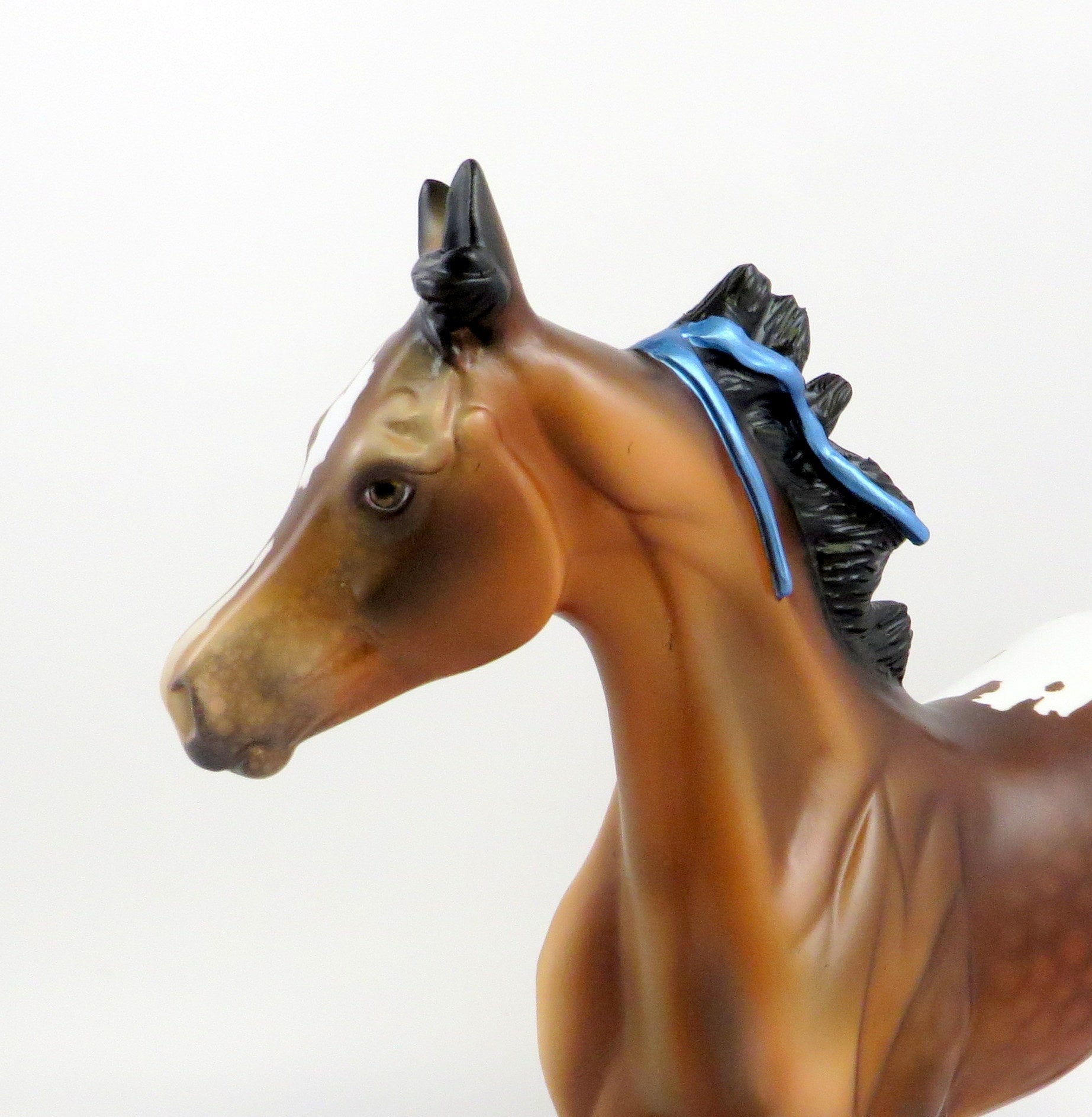 JOSSE-OOAK DAPPLE BAY APPALOOSA YEARLING WITH BLUE RIBBONS EQ 2019