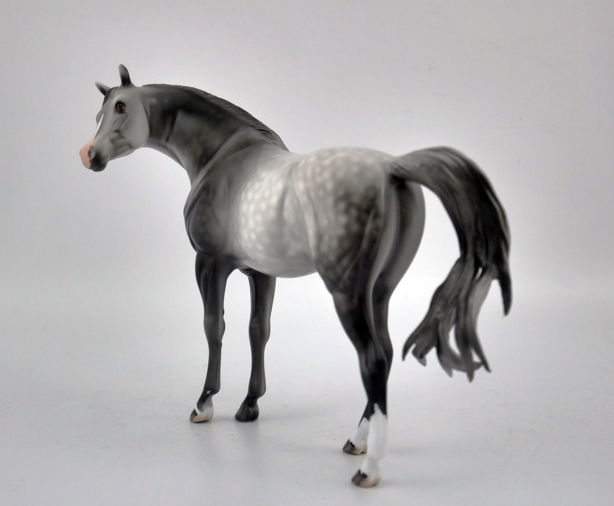 Jubilee-OOAK Dapple Grey Arabian Pebbles