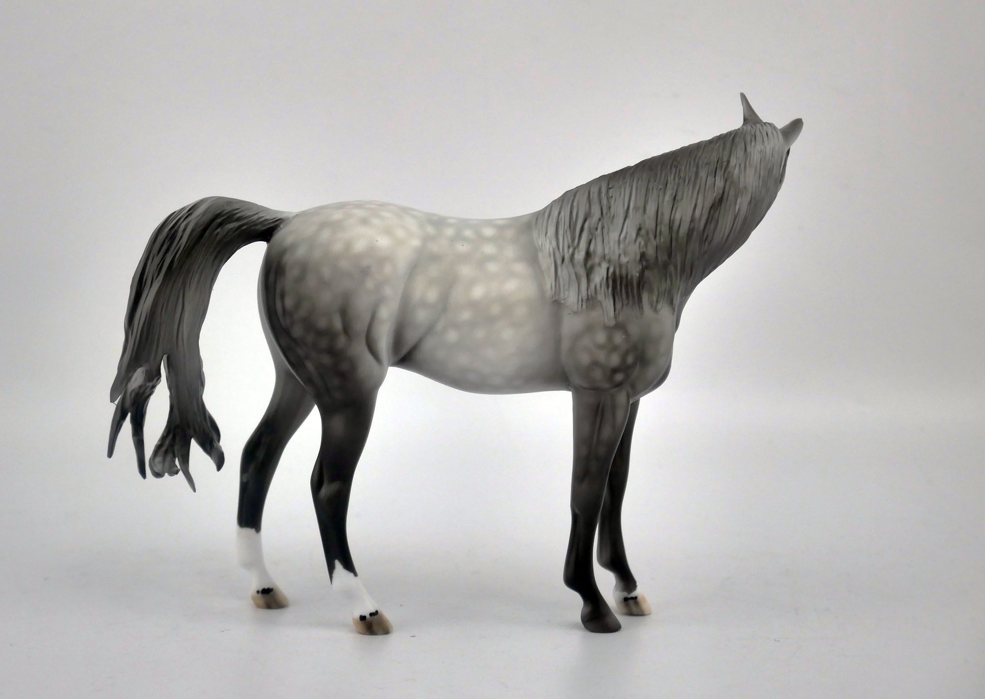 Jubilee-OOAK Dapple Grey Arabian Pebbles