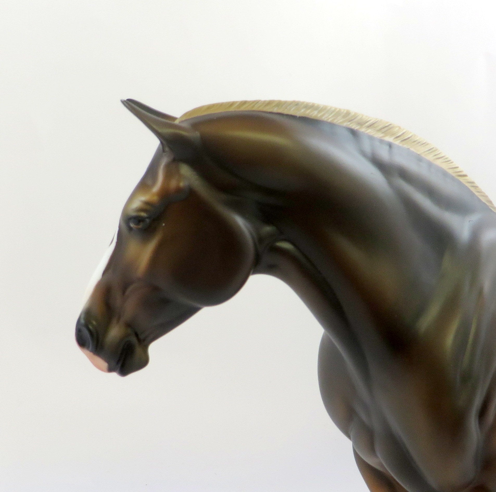 LADY OF THE LAKE NC LIVER CHESTNUT BUNNY EQ 2019