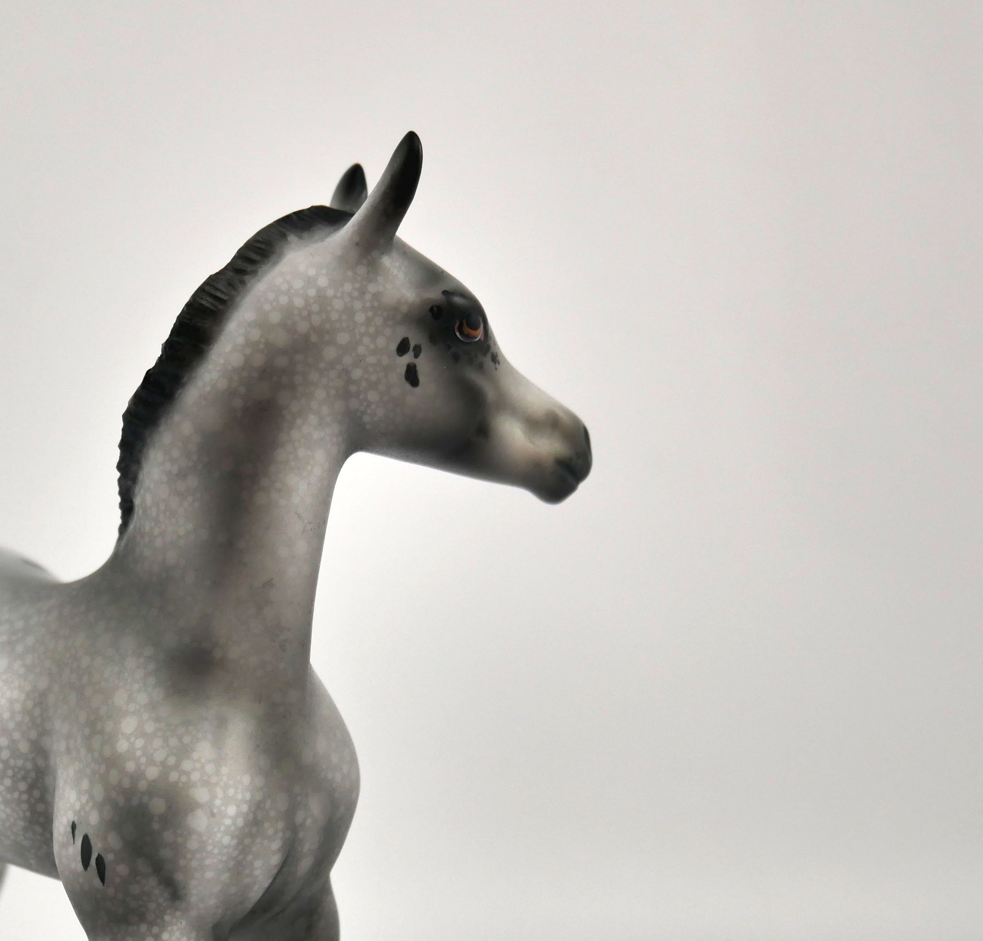 Luna Appaloosa Foal By Julie Keim MM 2020