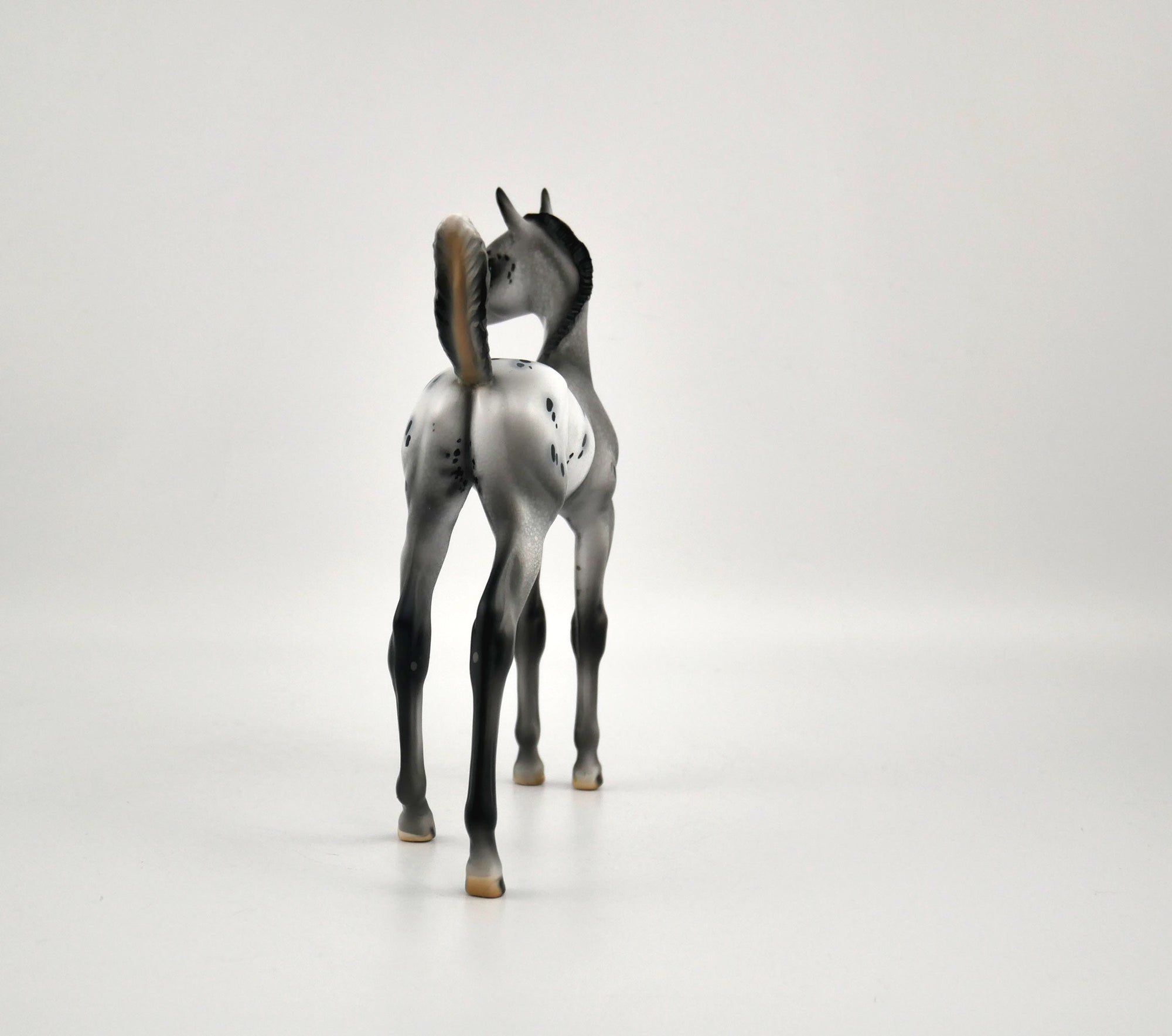 Luna Appaloosa Foal By Julie Keim MM 2020