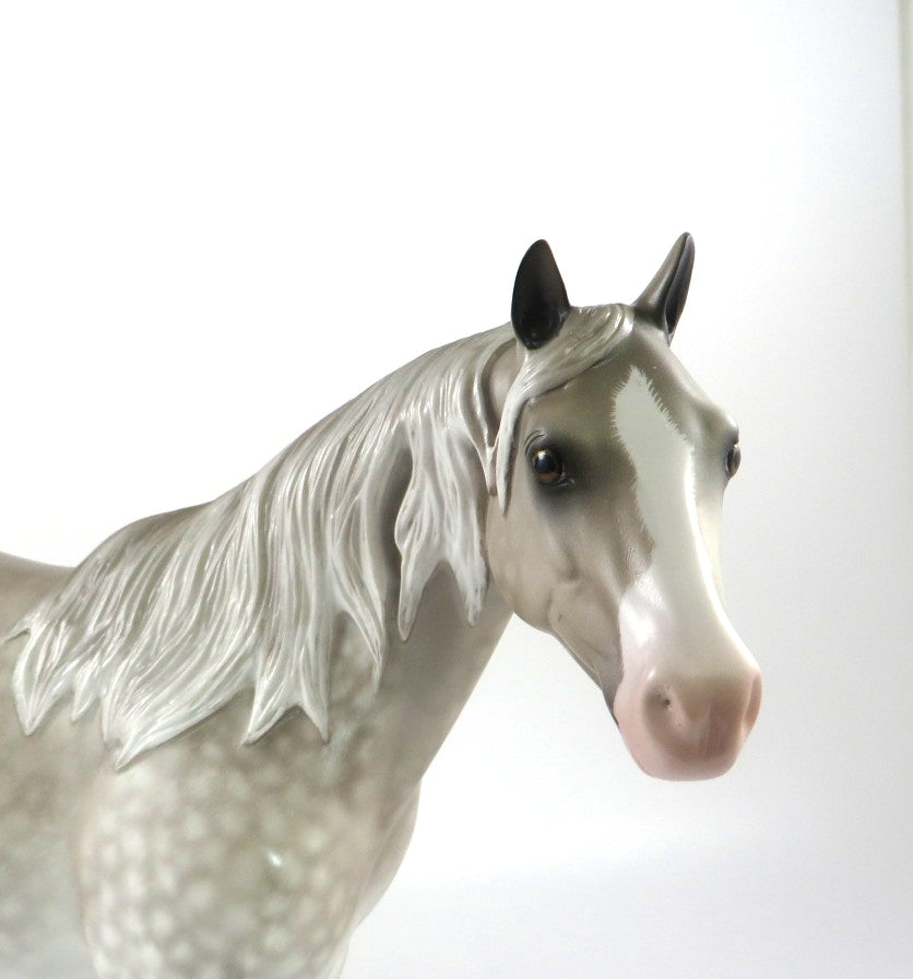 MACH'S GUT-OOAK STAR DAPPLE LIGHT GREY ISH MODEL HORSE BY SHERYL LEISURE 2/20/20