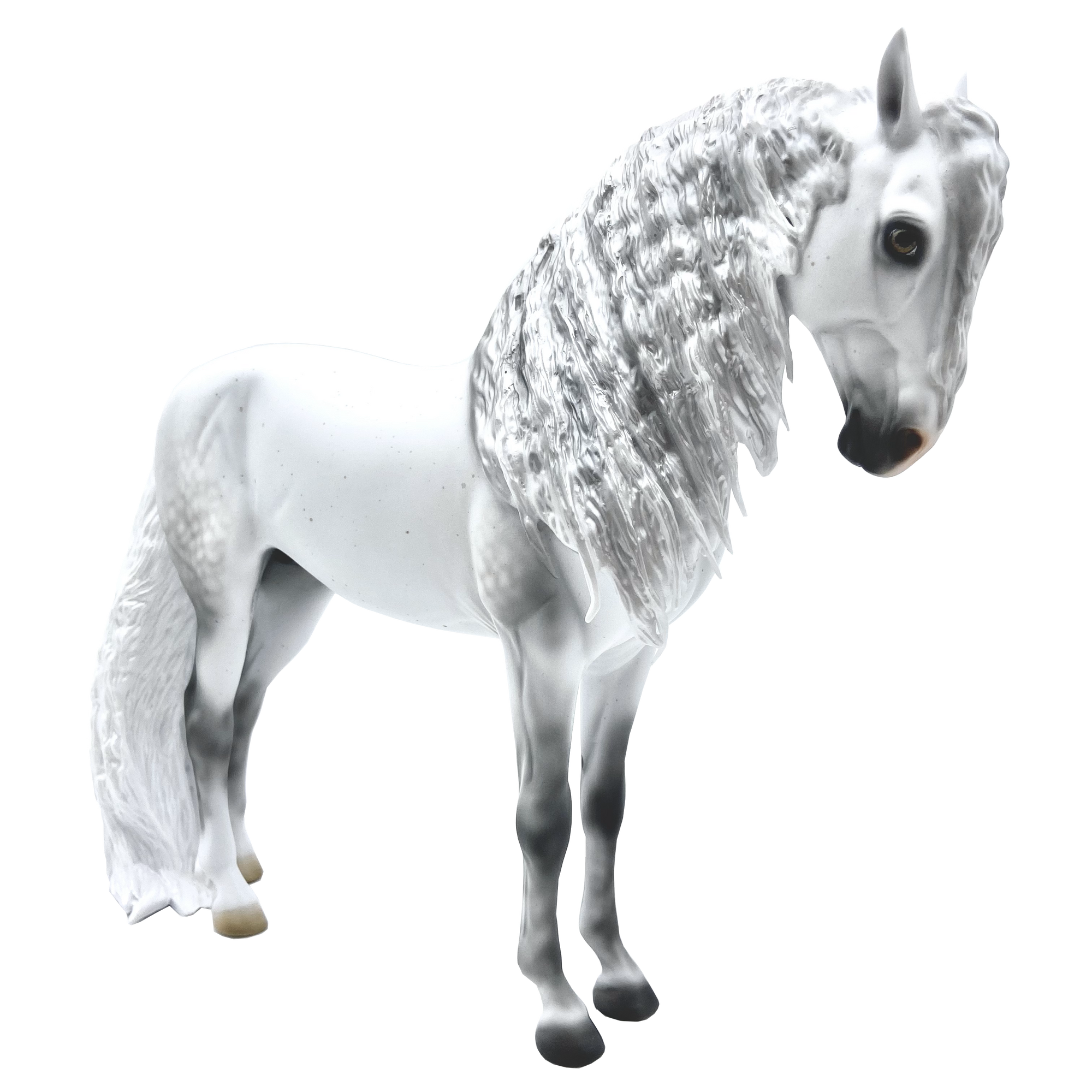 Magnifico-LE-30 Dapple Grey Andalusian painted by Carrie Keller EQ 2021