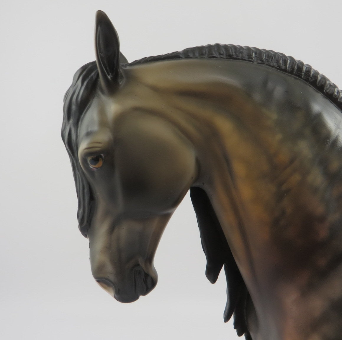 Mattice-OOAK Star Dapple Bay Andalusian EQ 2020