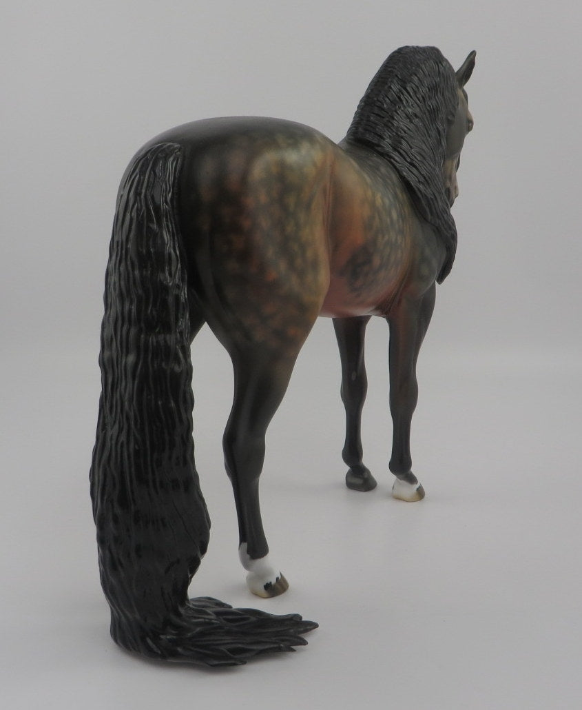 Mattice-OOAK Star Dapple Bay Andalusian EQ 2020
