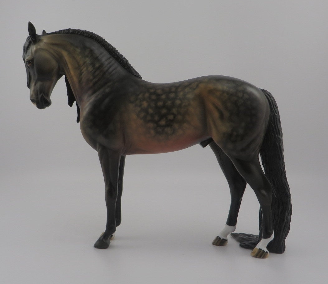 Mattice-OOAK Star Dapple Bay Andalusian EQ 2020