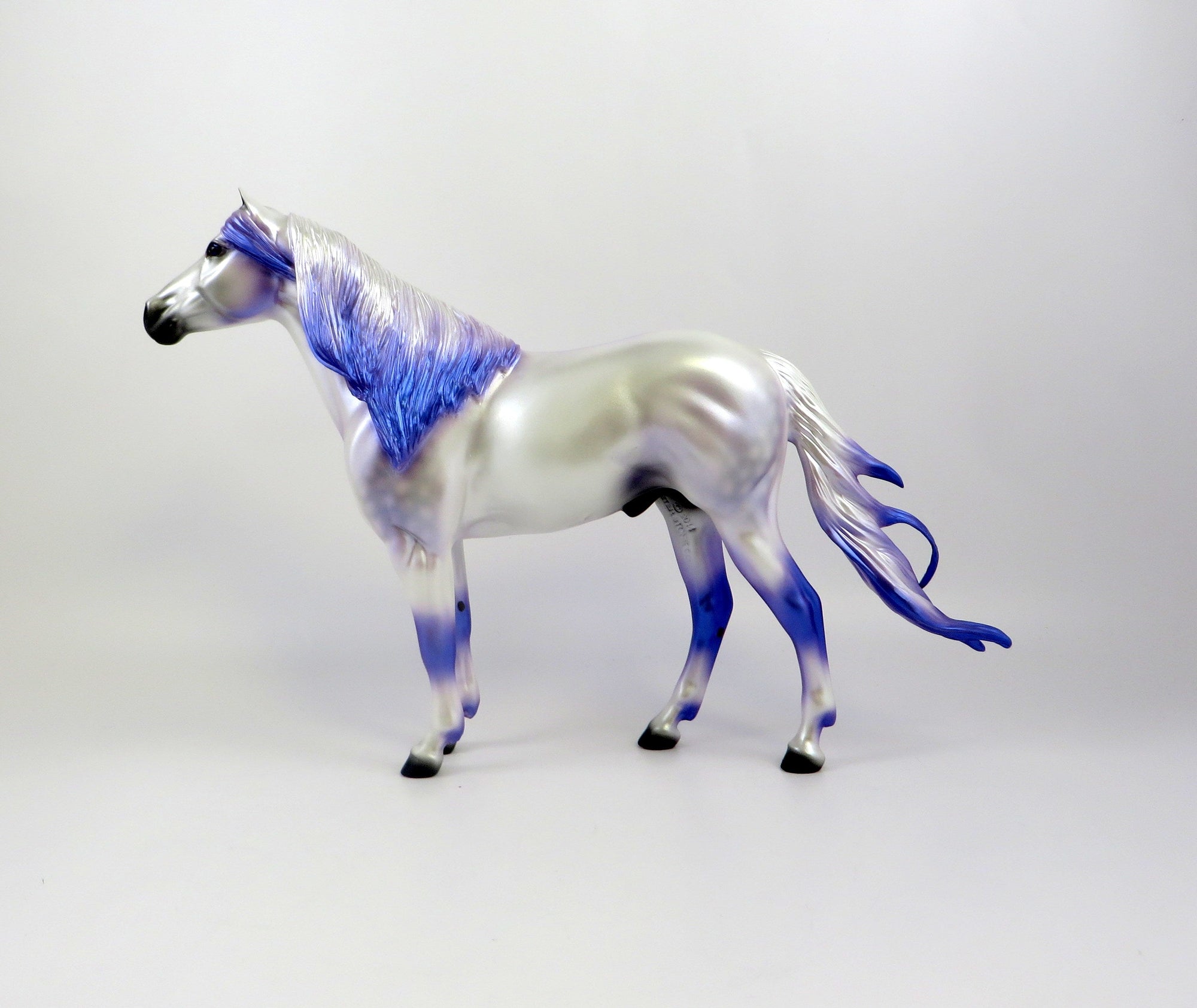 MERLIN-LE-10 DAPPLE WHITE CM SPANISH MUSTANG EQ 2019