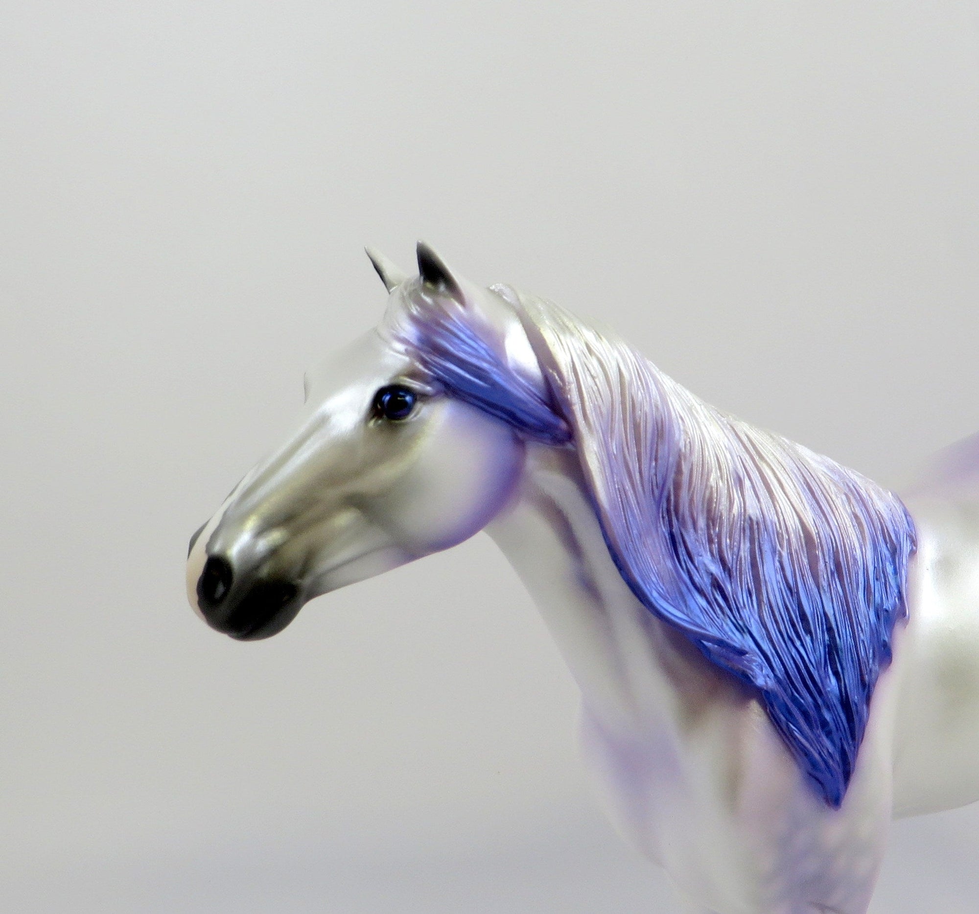 MERLIN-LE-10 DAPPLE WHITE CM SPANISH MUSTANG EQ 2019