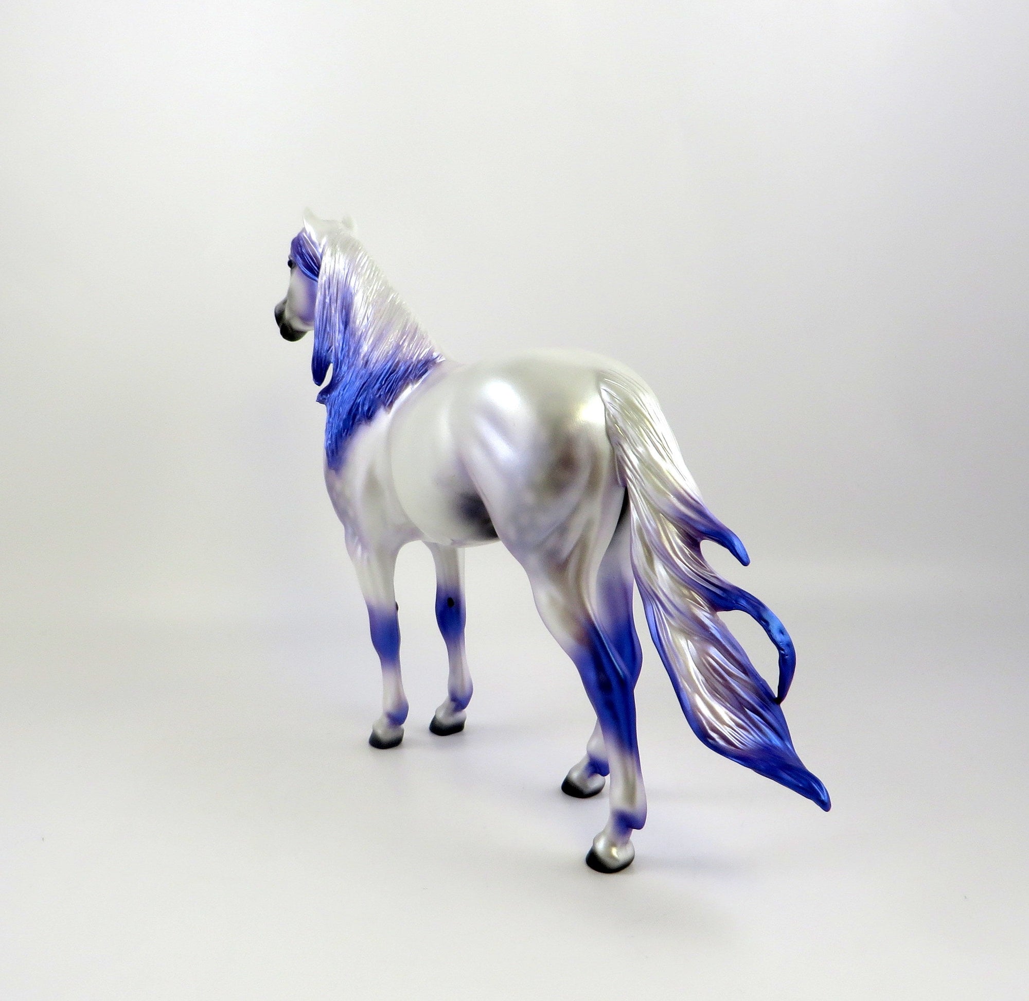 MERLIN-LE-10 DAPPLE WHITE CM SPANISH MUSTANG EQ 2019