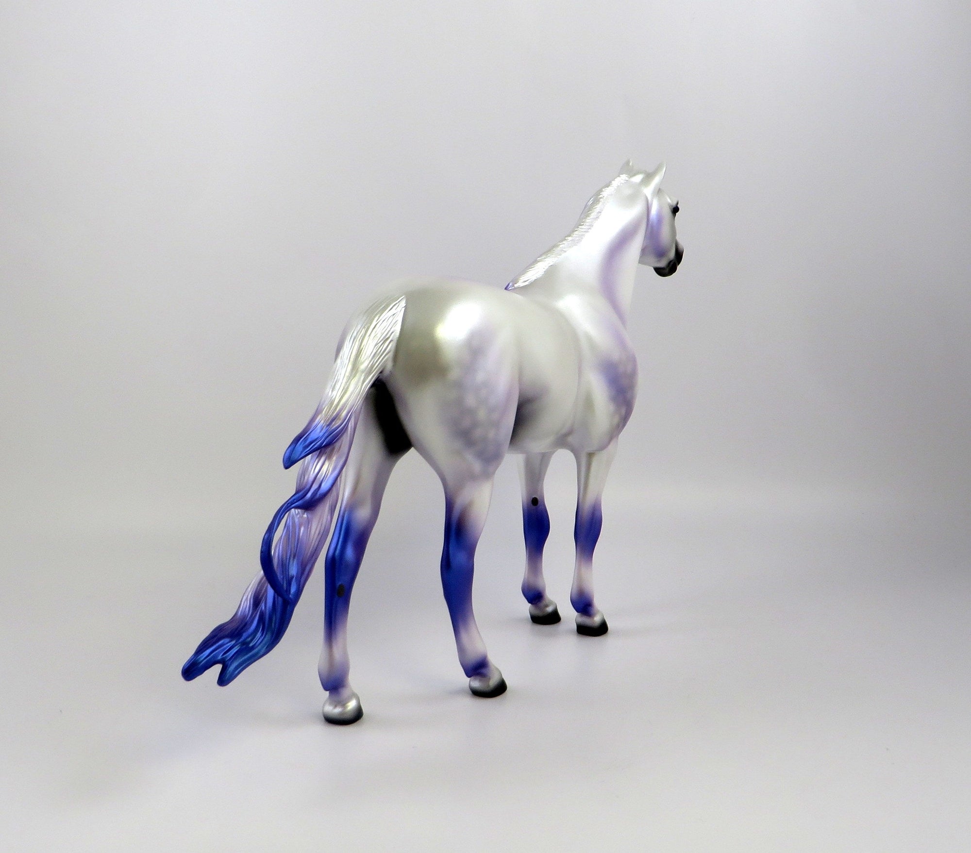 MERLIN-LE-10 DAPPLE WHITE CM SPANISH MUSTANG EQ 2019