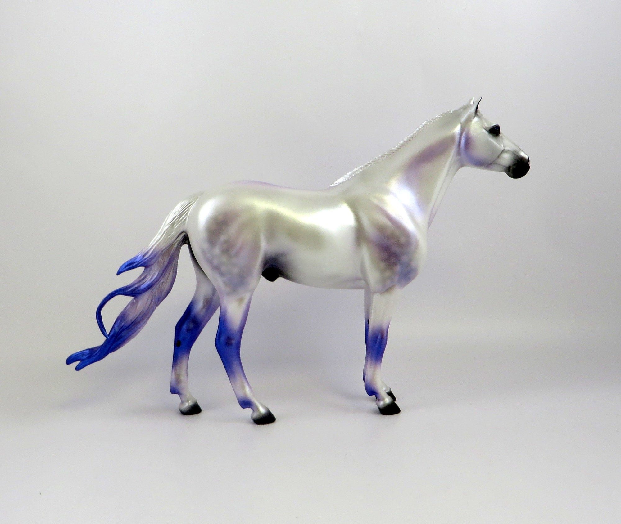 MERLIN-LE-10 DAPPLE WHITE CM SPANISH MUSTANG EQ 2019