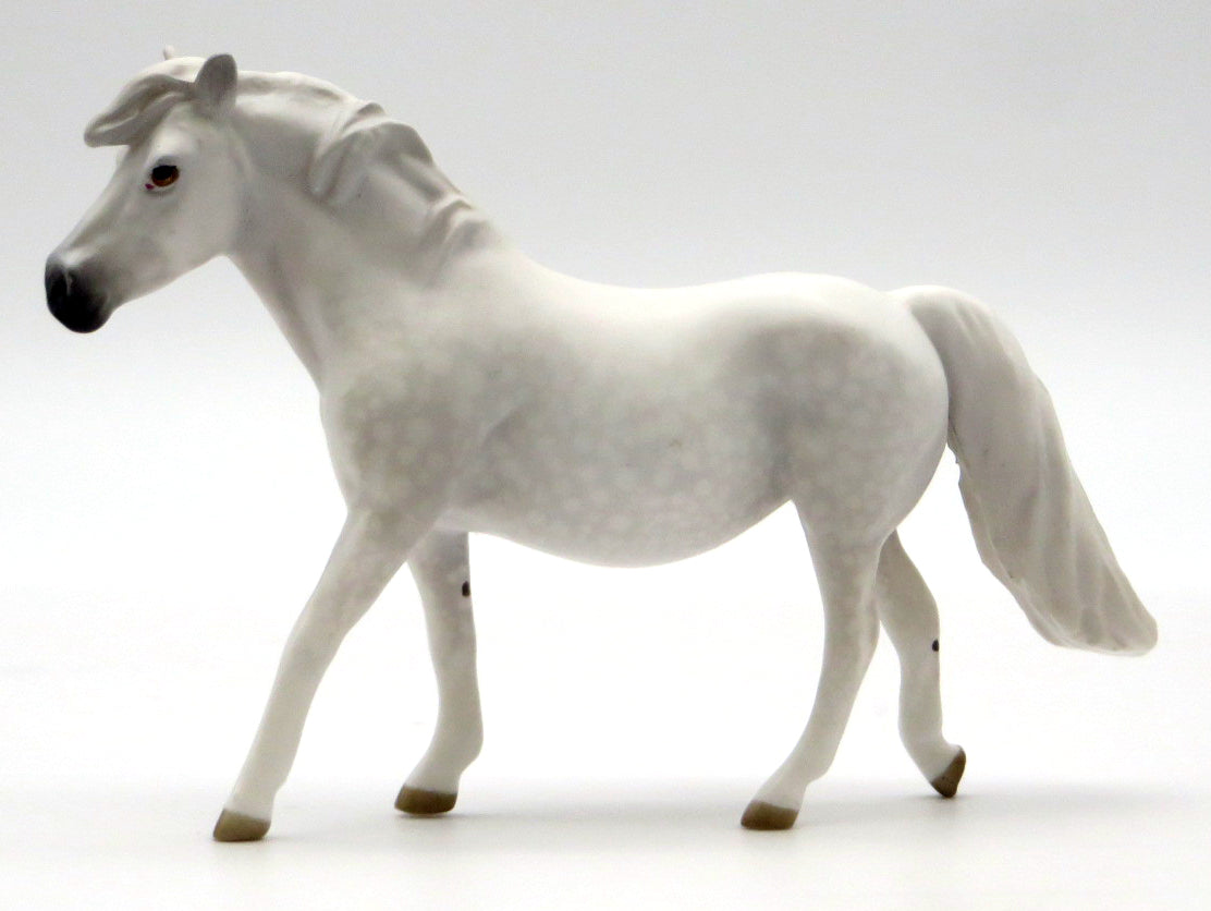 Black Beauty Chip Set - Classic Literature 2022