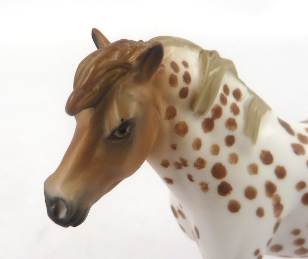 MINI ME FRIDGE - LE-15 LEOPARD APPALOOSA PONY CHIP BY AUDREY DIXON SB20