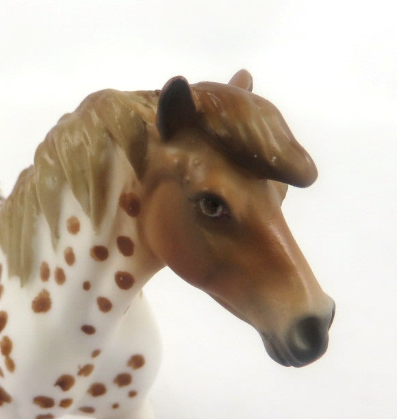 MINI ME FRIDGE - LE-15 LEOPARD APPALOOSA PONY CHIP BY AUDREY DIXON SB20