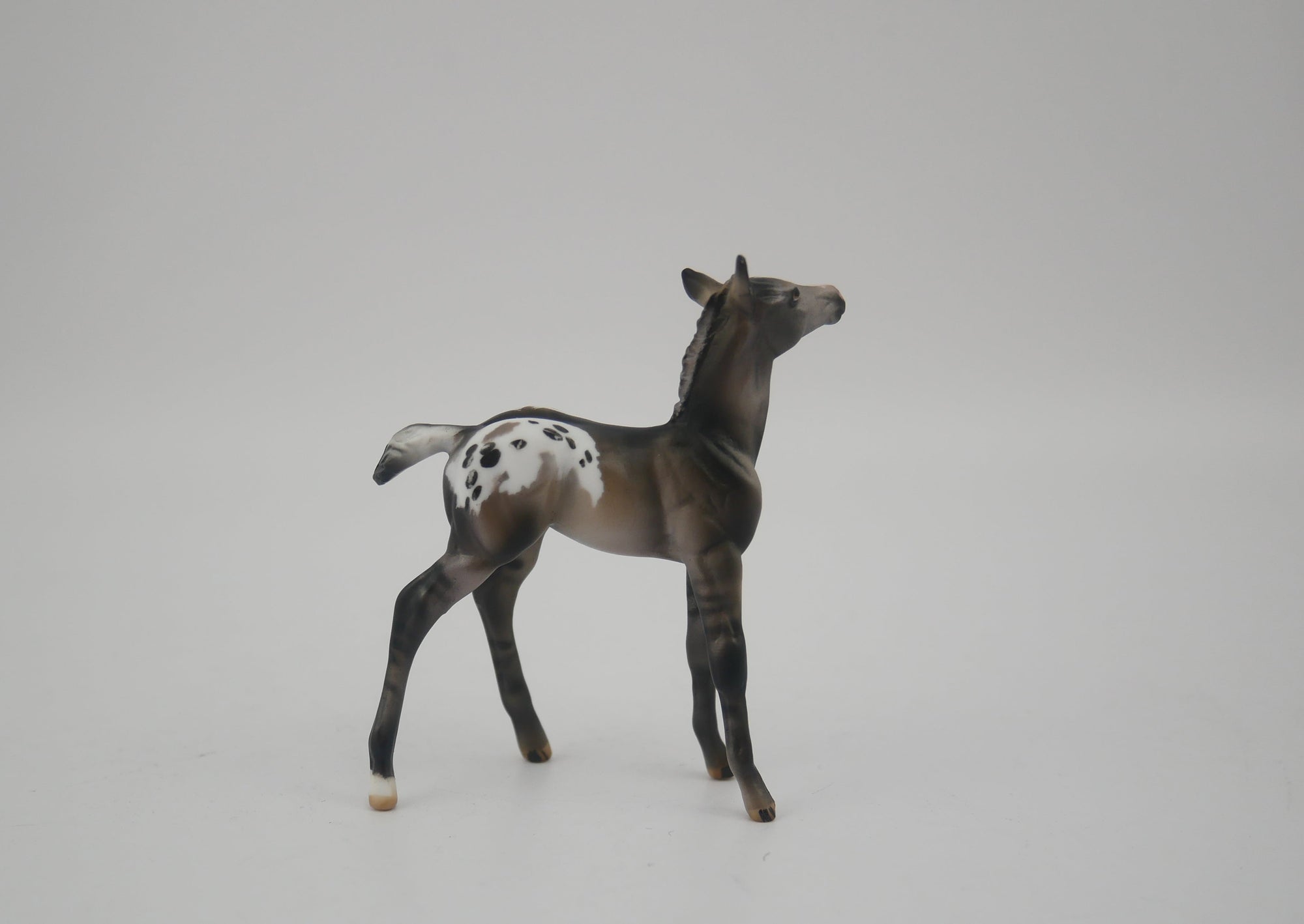 MINI ME BLACK IRIS - LE-20 SILVER GRULLA APPALOOSA MINI ME FRIDAY RELEASE BY JULIE KEIM EQ 2020