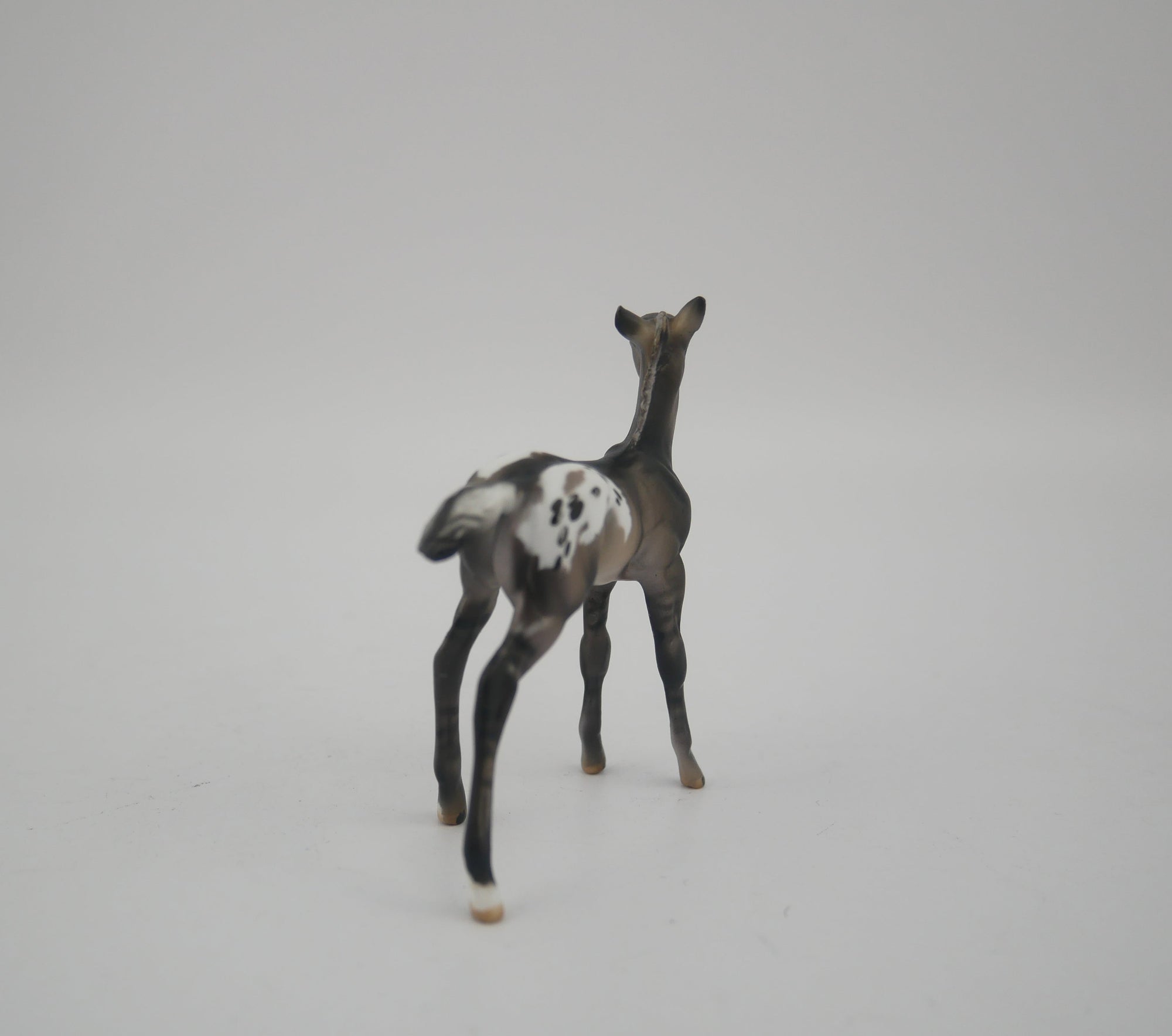 MINI ME BLACK IRIS - LE-20 SILVER GRULLA APPALOOSA MINI ME FRIDAY RELEASE BY JULIE KEIM EQ 2020