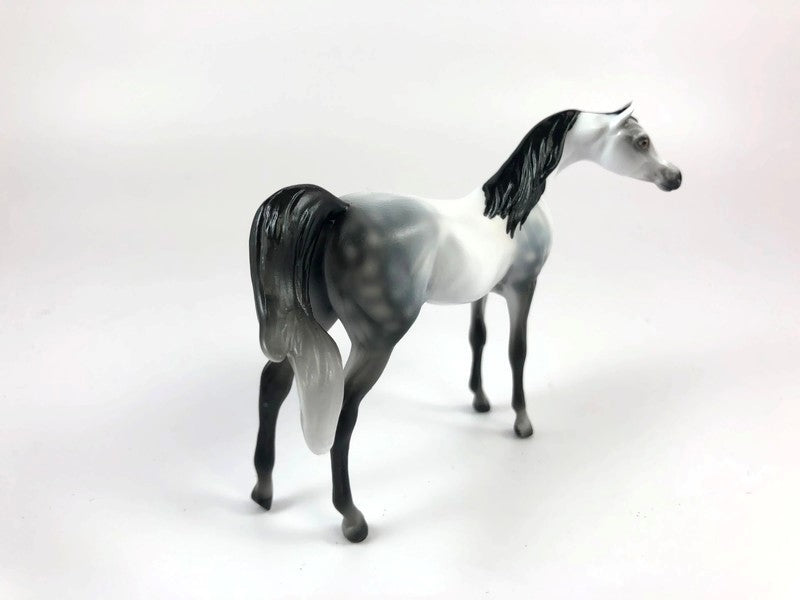 THE GREAT WALLENDEZ MINI ME -LE-10 DAPPLE GREY CM ARABIAN CHIP BY AUDREY DIXON LHS 19