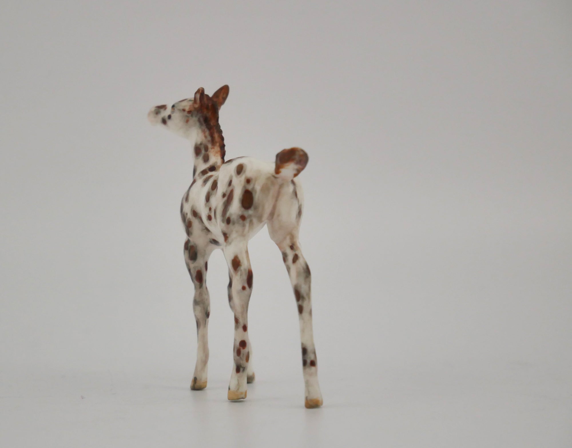 MUDDLETRIX -OOAK CHESTNUT LEOPARD APPALOOSA FOAL BY ANDREA